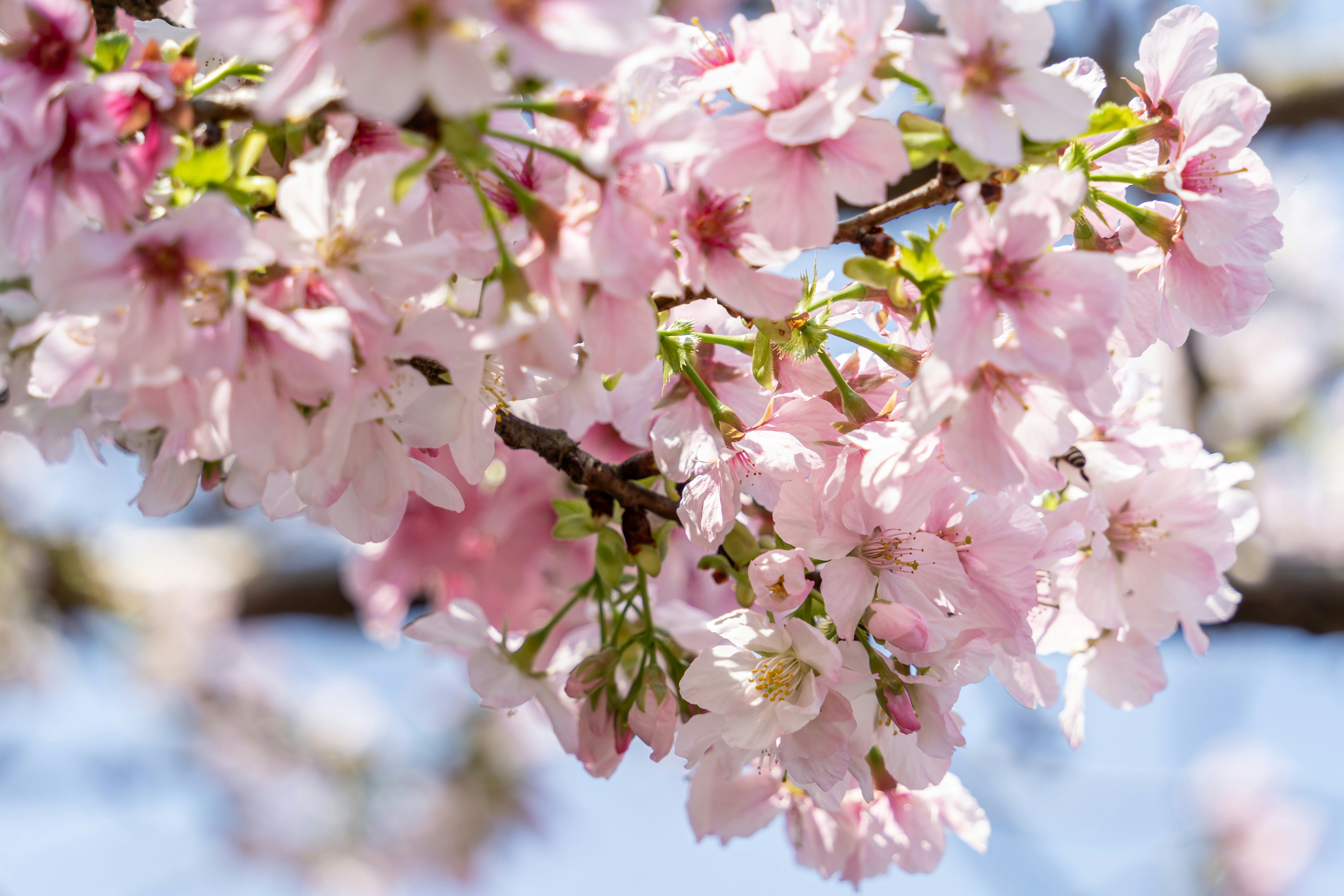 Photo by winstonchen