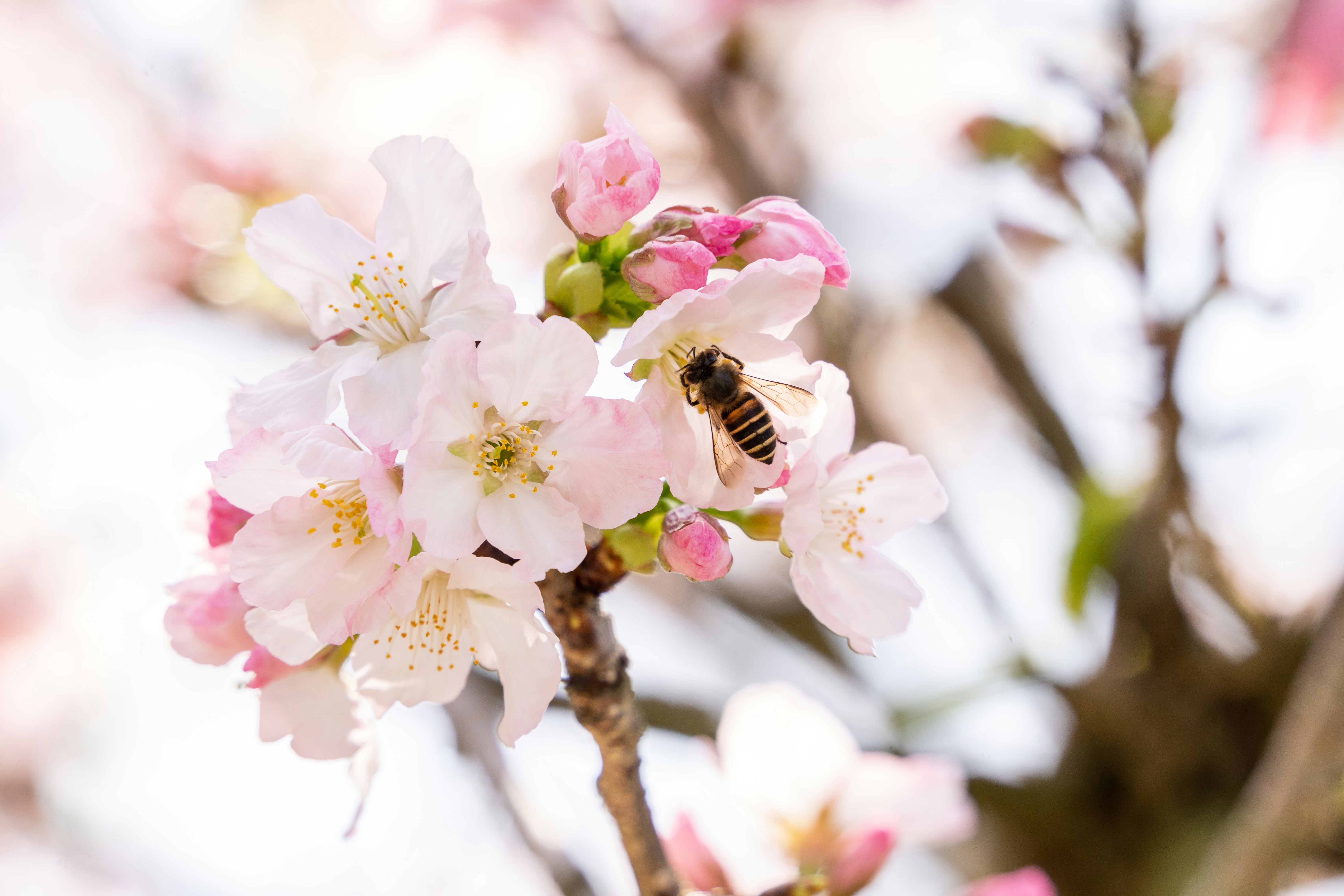 Photo by winstonchen