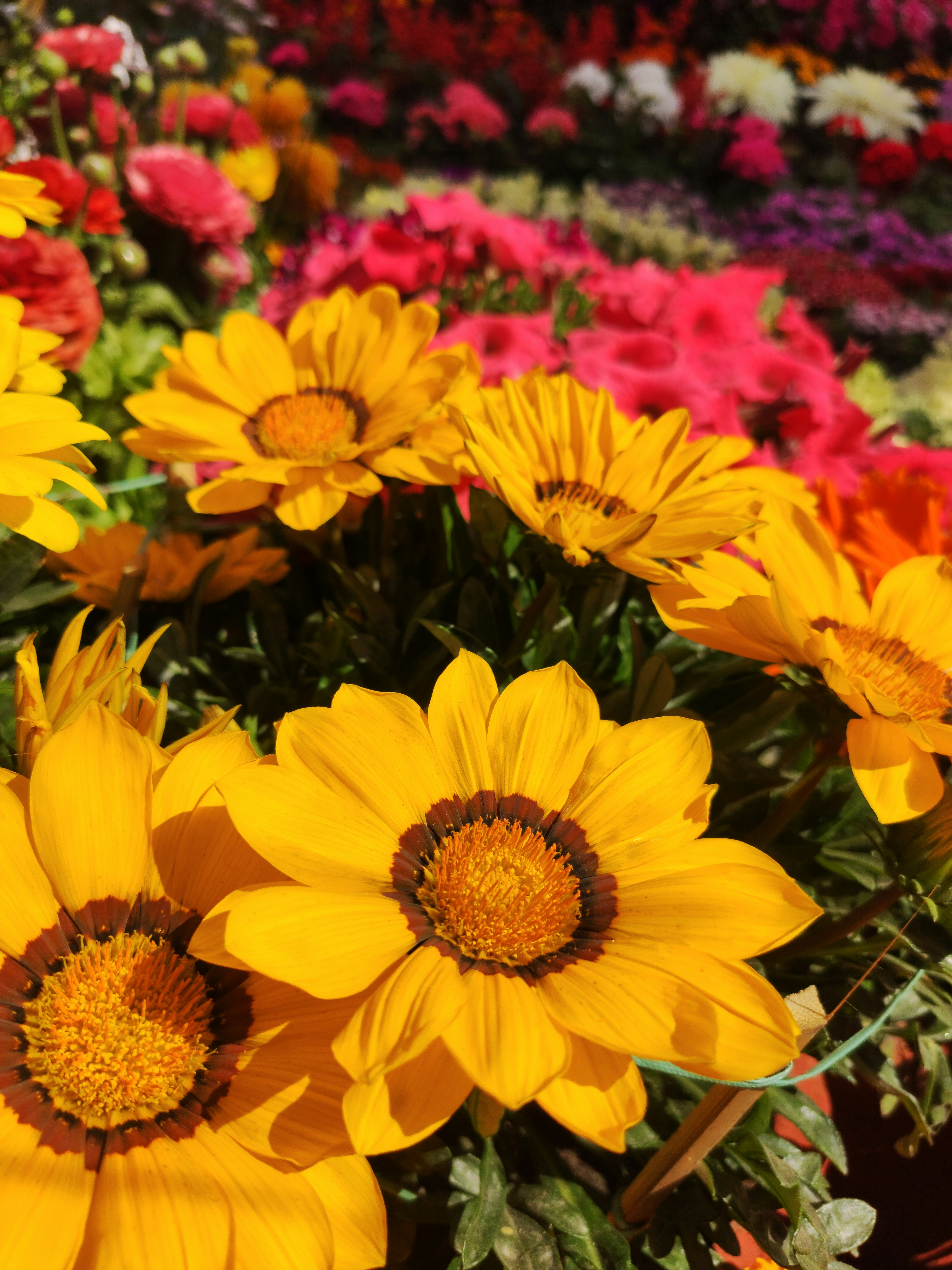 Photo by kartikeyaanand7