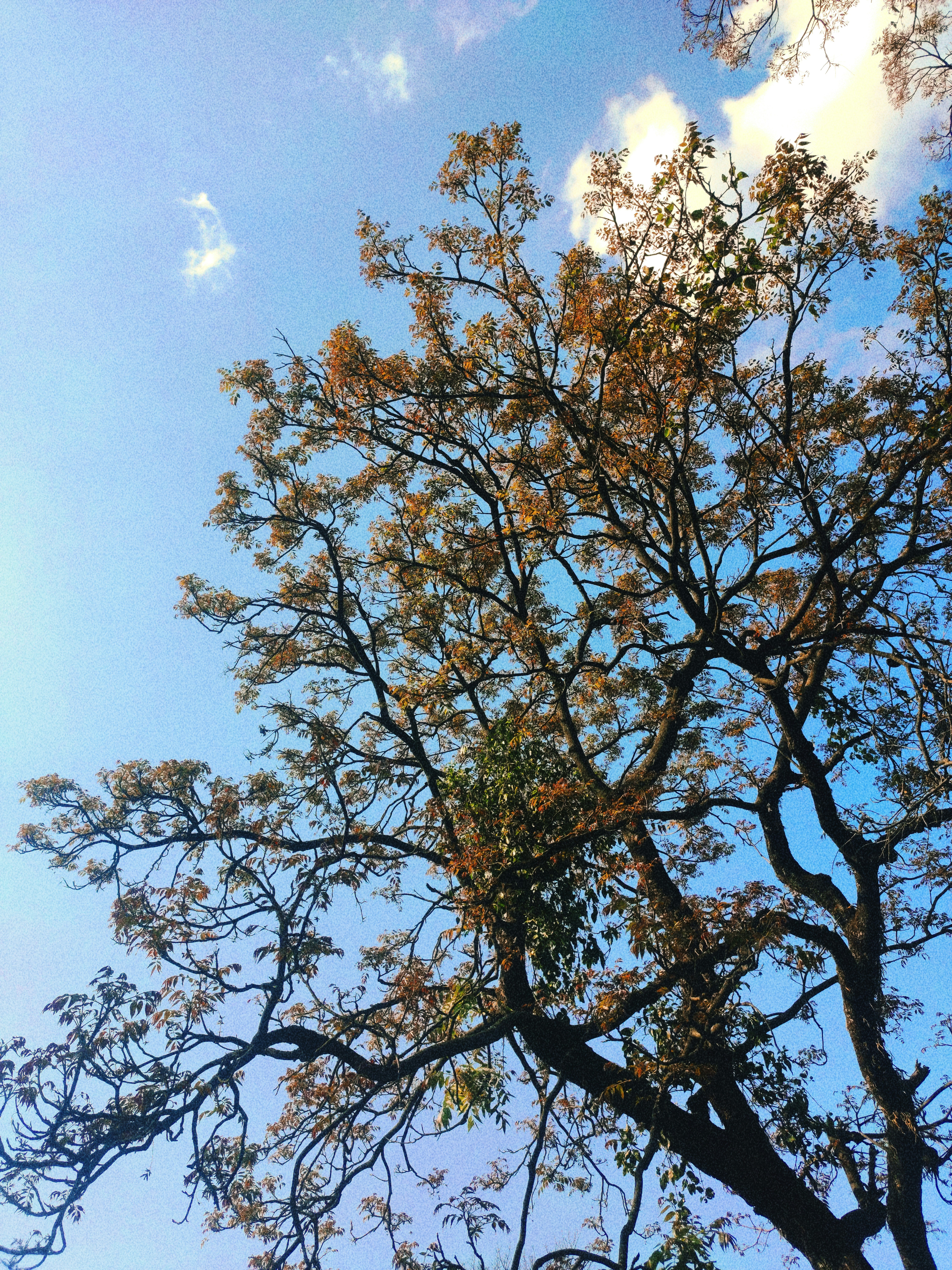 Photo by kartikeyaanand7