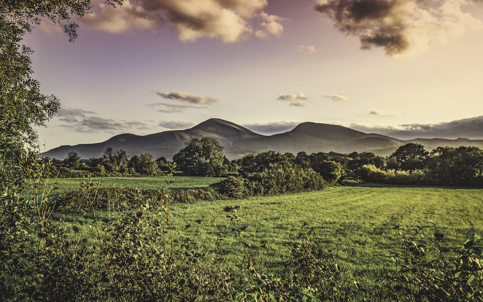 Rural Northern Ireland countryside and farmland
