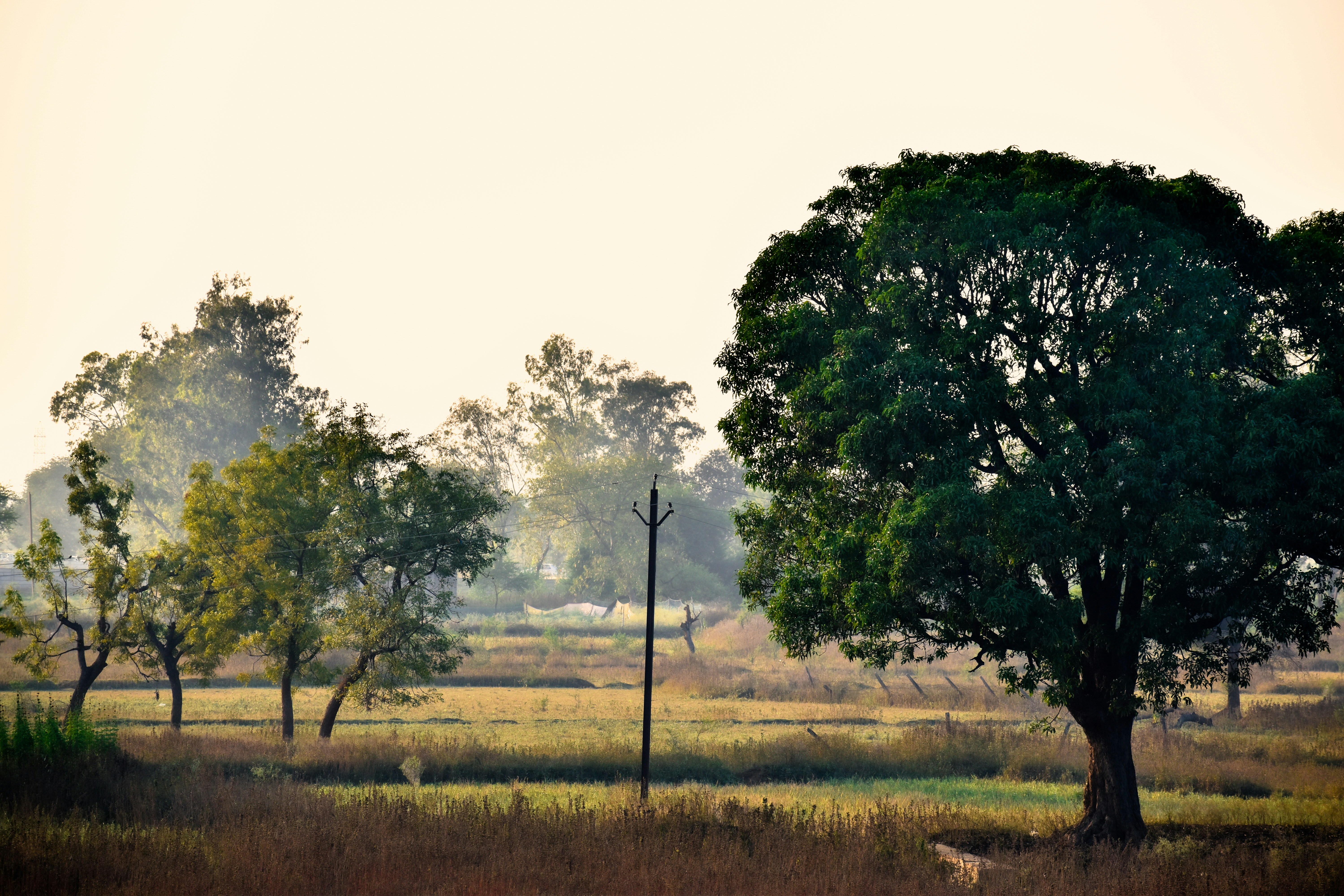 Photo by aashutosh_varma