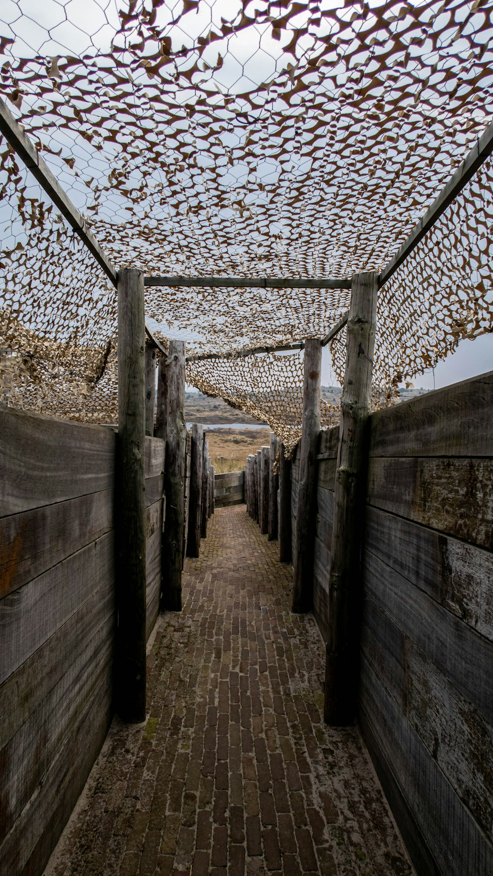 a walkway lined with wooden posts and netting