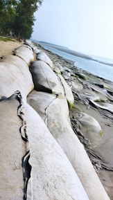Large sandbags line a shoreline, serving as a barrier against the sea. The bags appear weathered, and the sand around them is wet and compact. A line of trees stretches along the edge, creating a natural border between the sandy area and the bags.