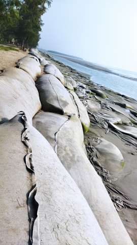 Large sandbags line a shoreline, serving as a barrier against the sea. The bags appear weathered, and the sand around them is wet and compact. A line of trees stretches along the edge, creating a natural border between the sandy area and the bags.
