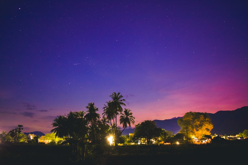 a purple sky with palm trees in the foreground