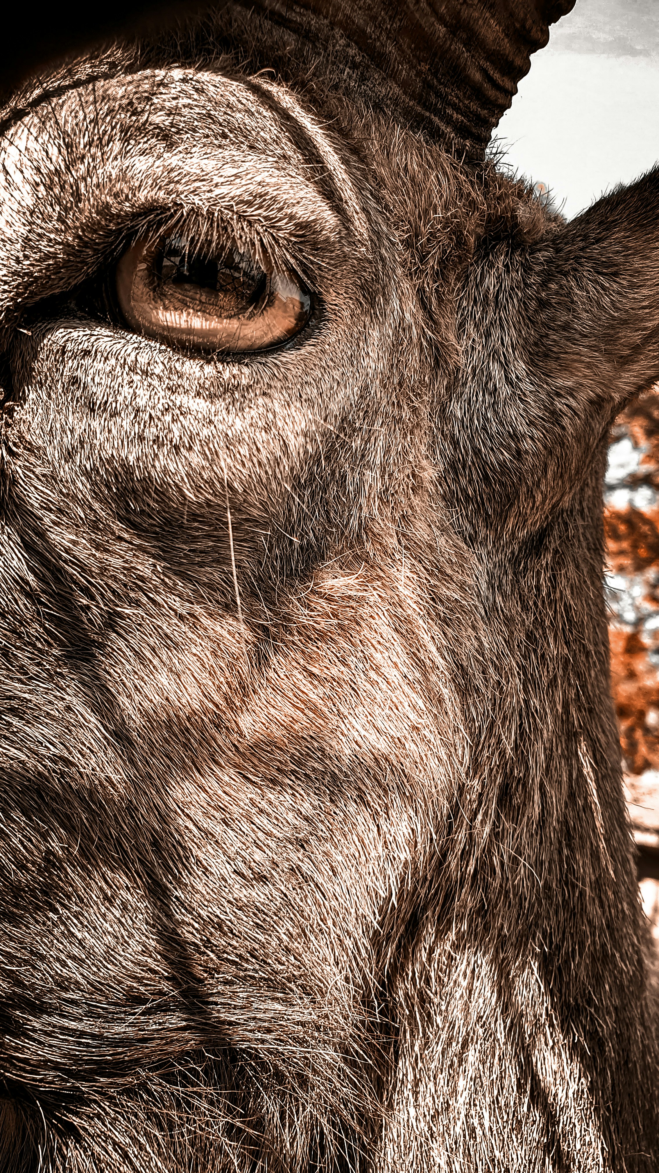 Photo by abdullah_97