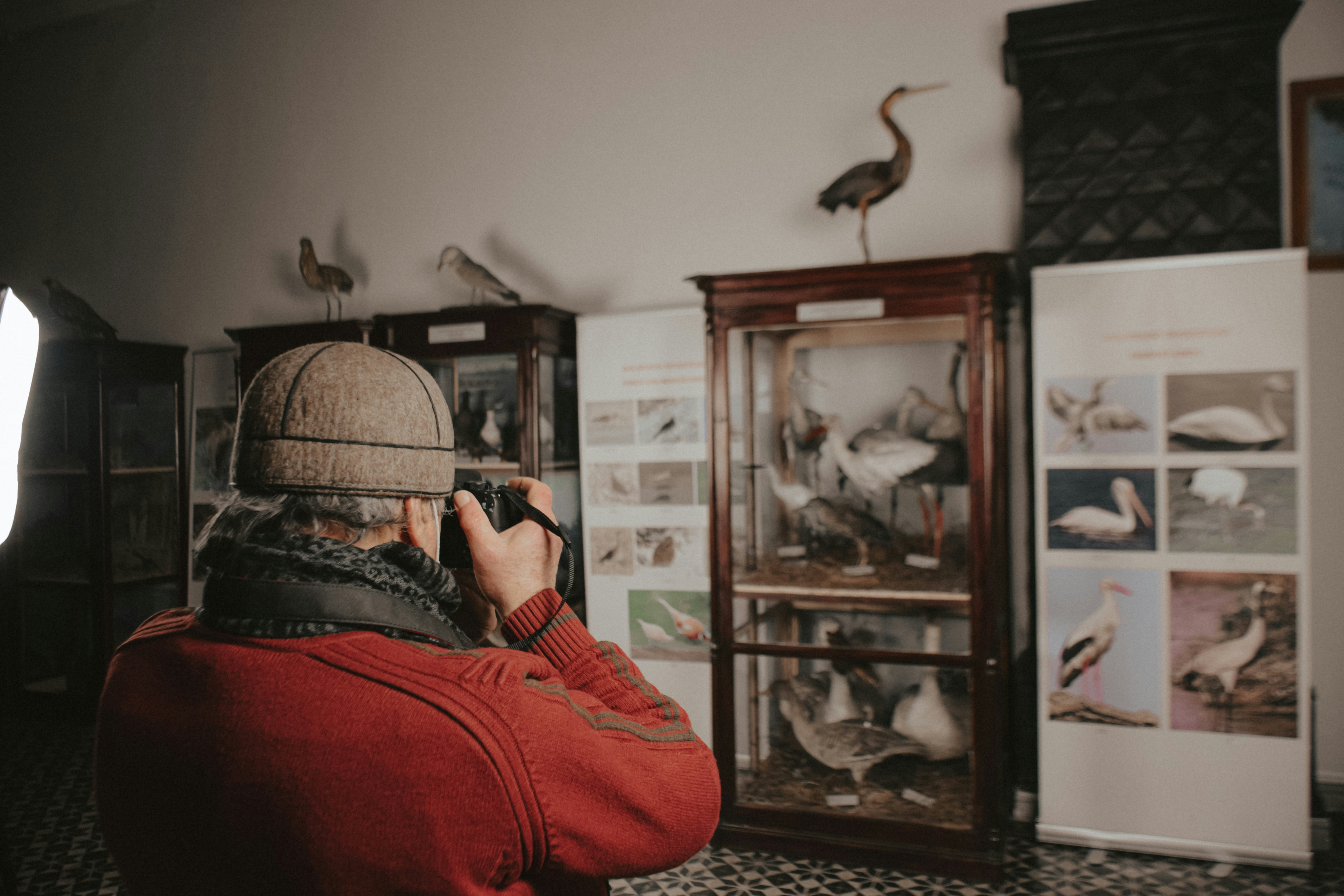a man taking a picture of birds in a museum