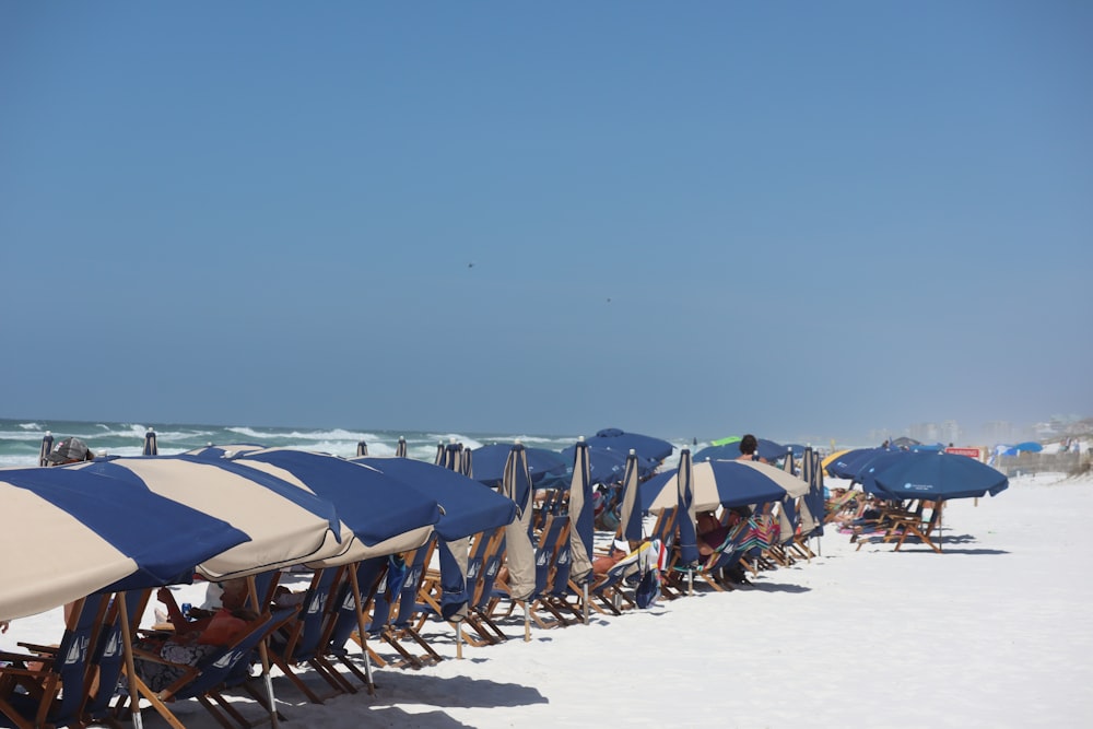 a row of beach chairs and umbrellas on a beach