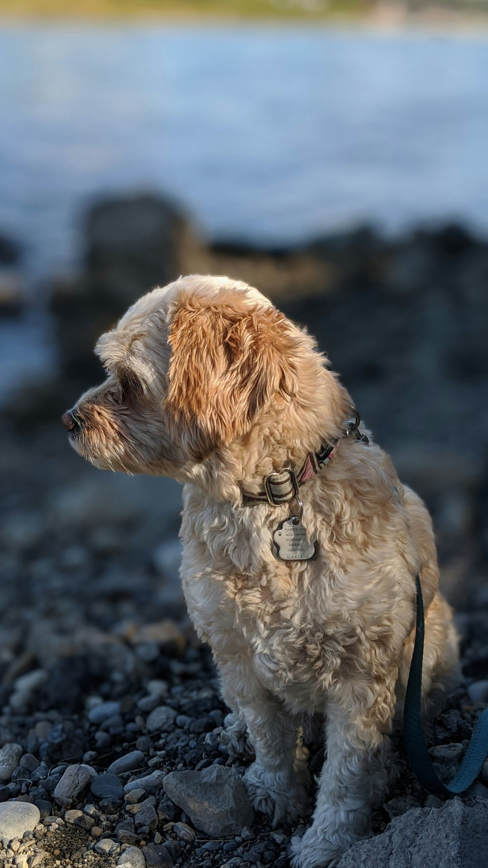 Photo by scottbbaird