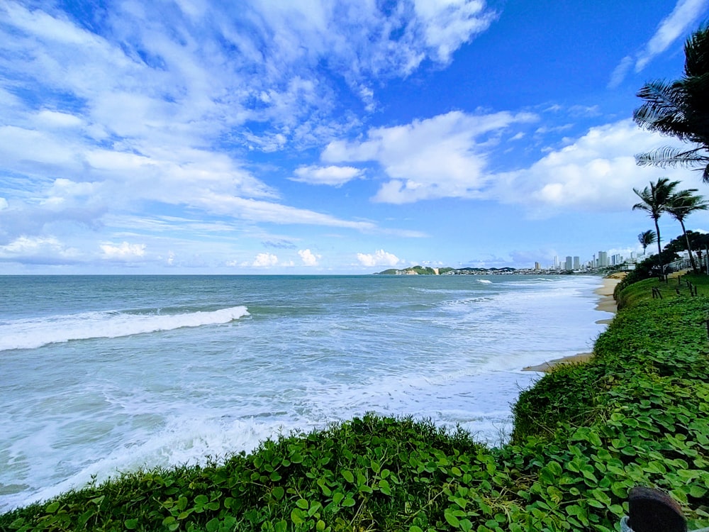 a person sitting on a bench looking out at the ocean