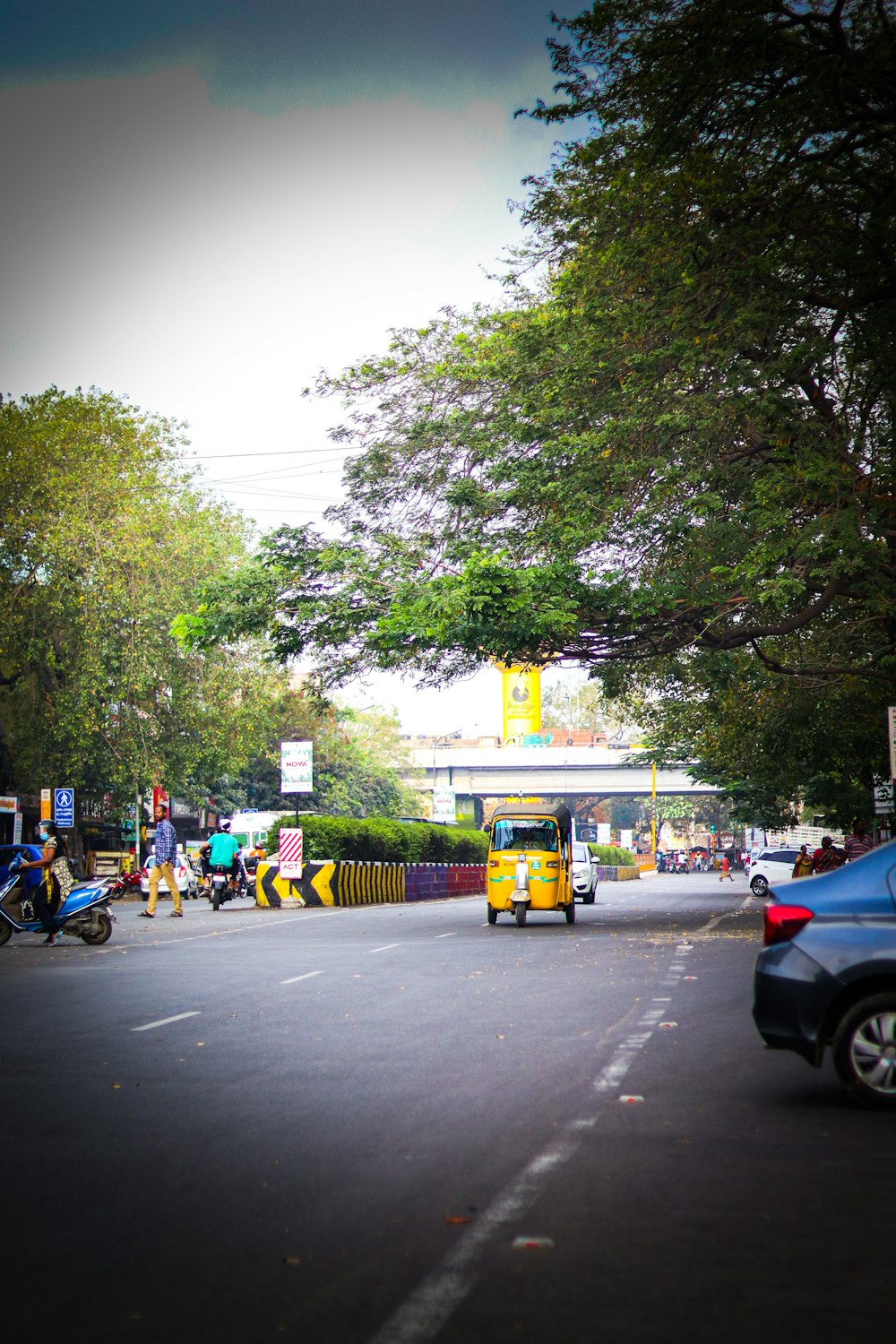 a yellow bus driving down a street next to tall trees