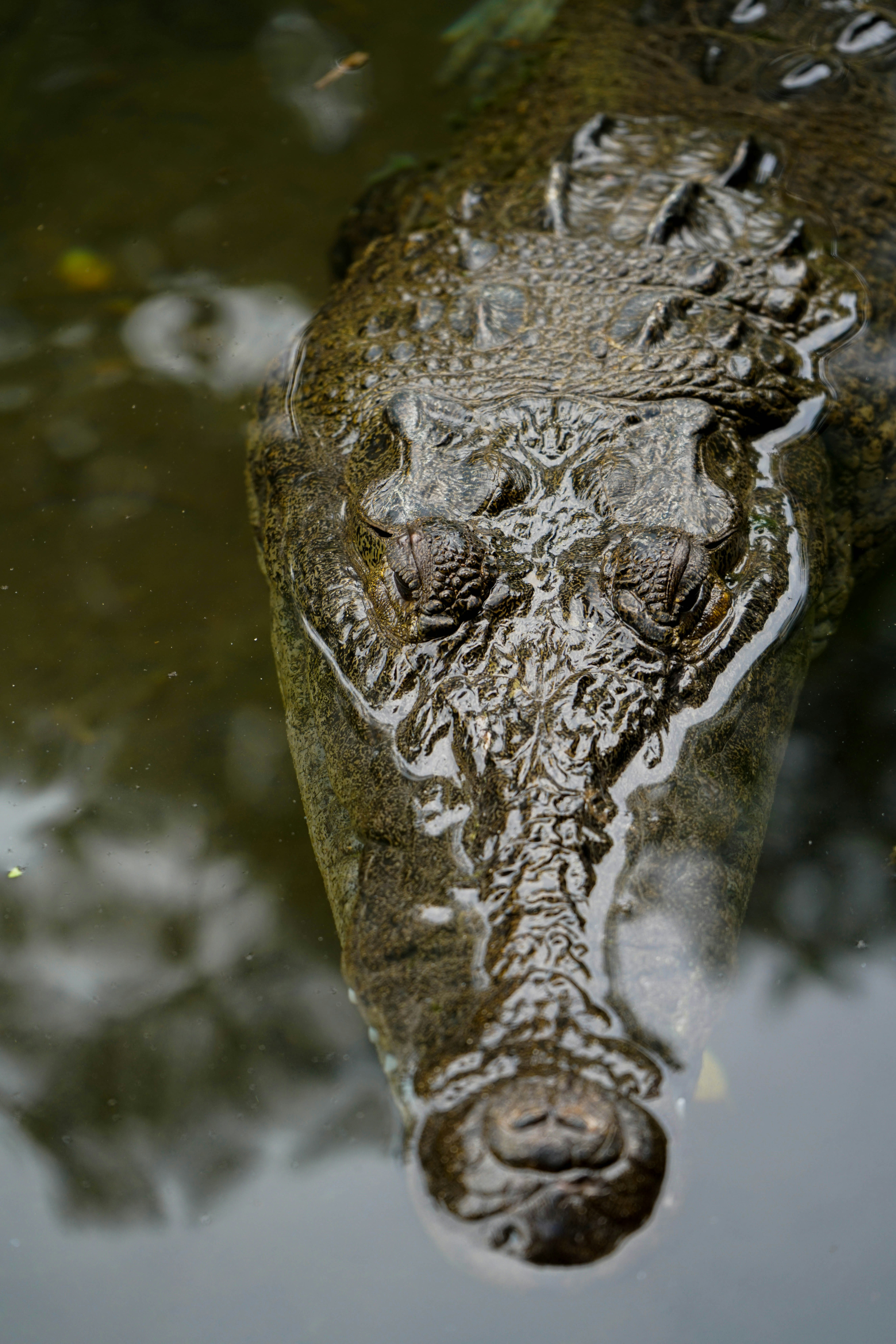 Photo by croccol