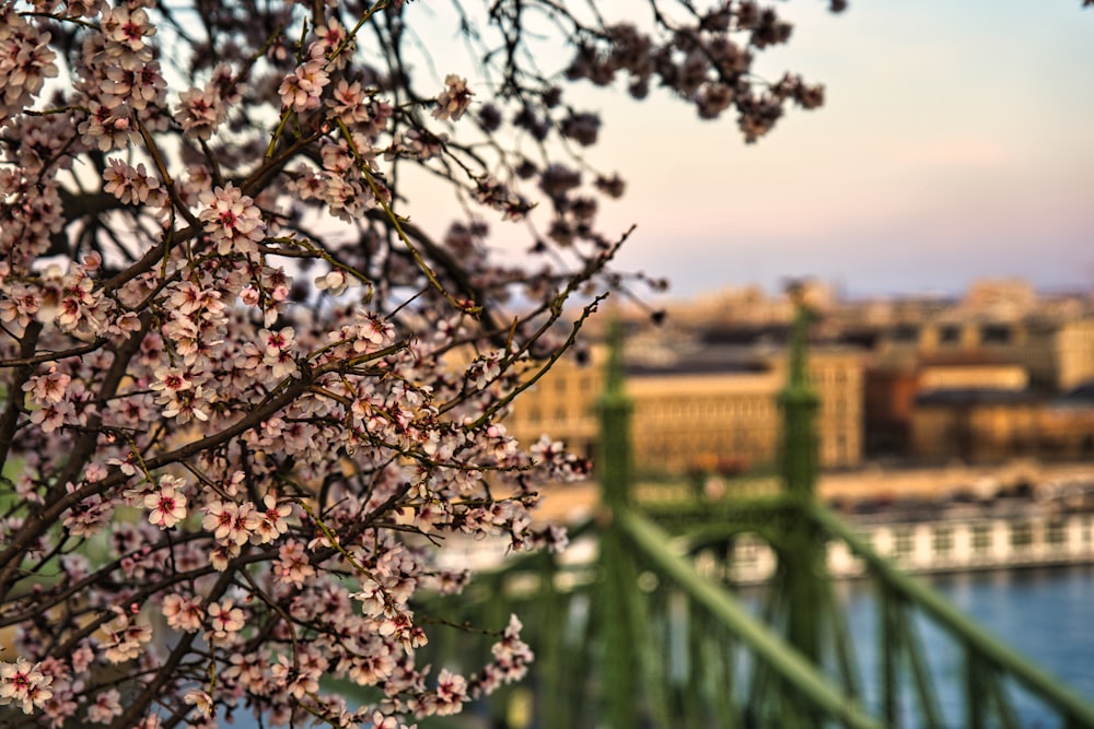 Vue d’un pont au-dessus d’un plan d’eau