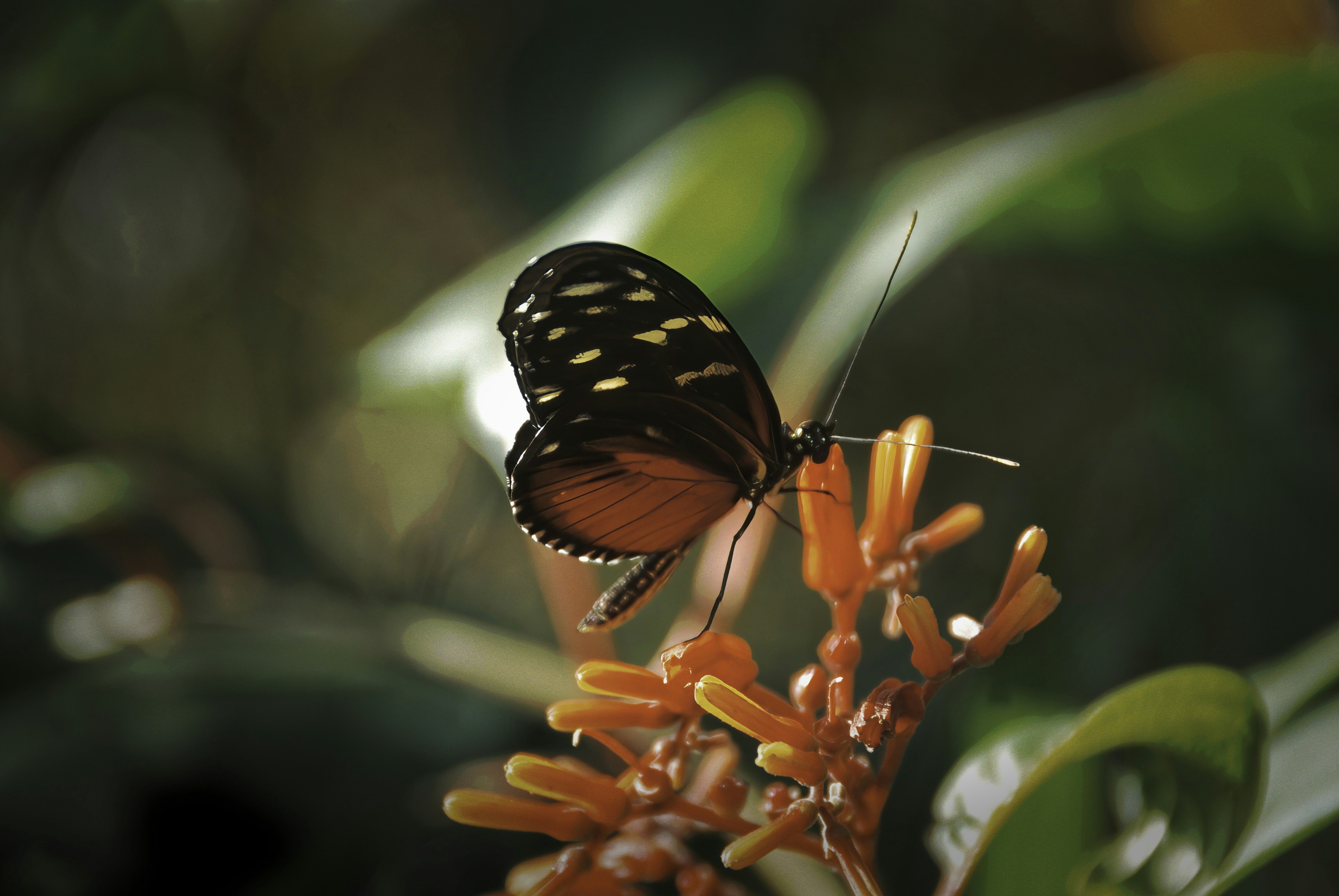 Photo by px7digital