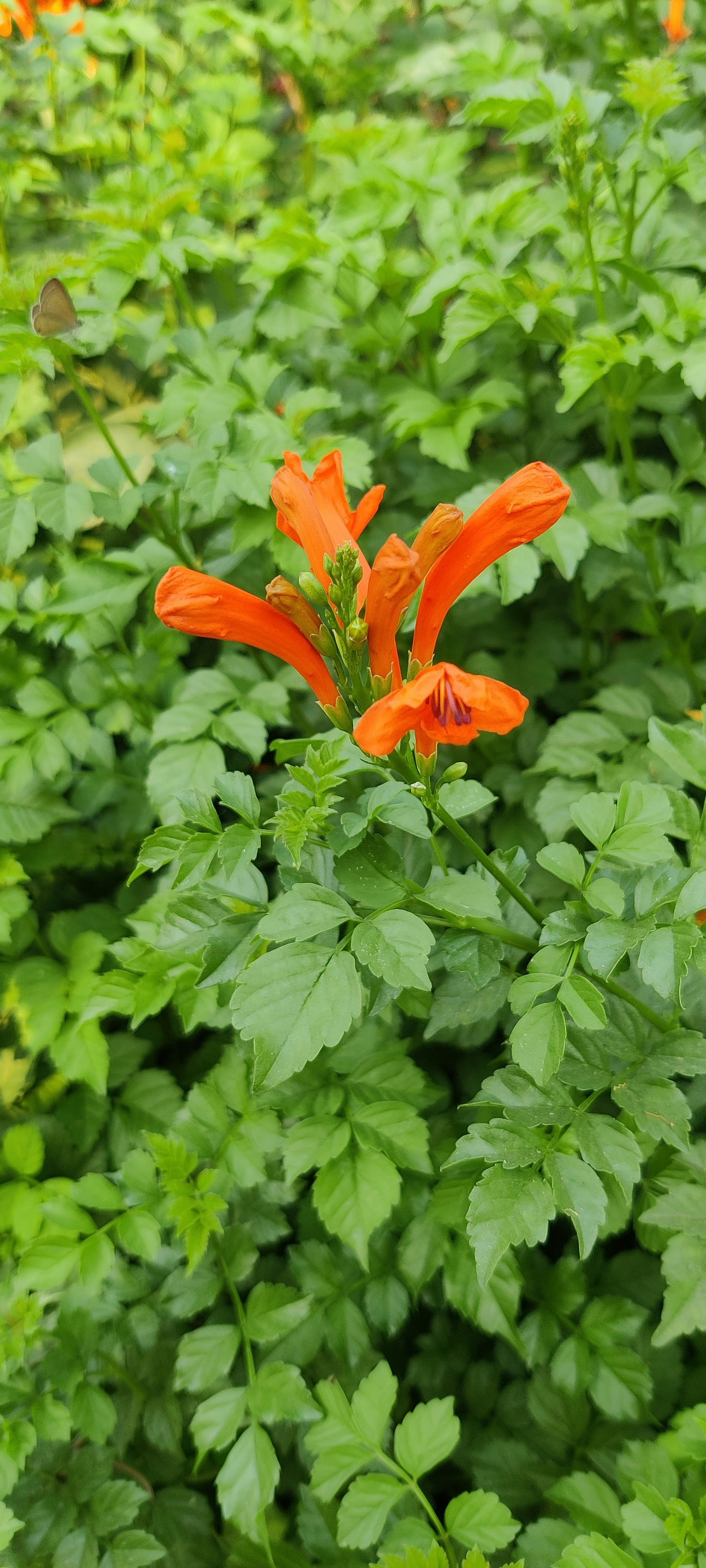 Photo by little_magical_moments