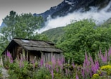 A peaceful morning mist settling over the wooden cabins of the gîte surrounded by wildflowers.