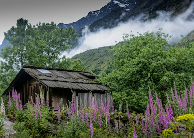 A peaceful morning mist settling over the wooden cabins of the gîte surrounded by wildflowers.