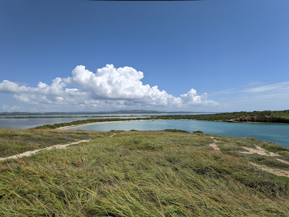 a body of water surrounded by a lush green field