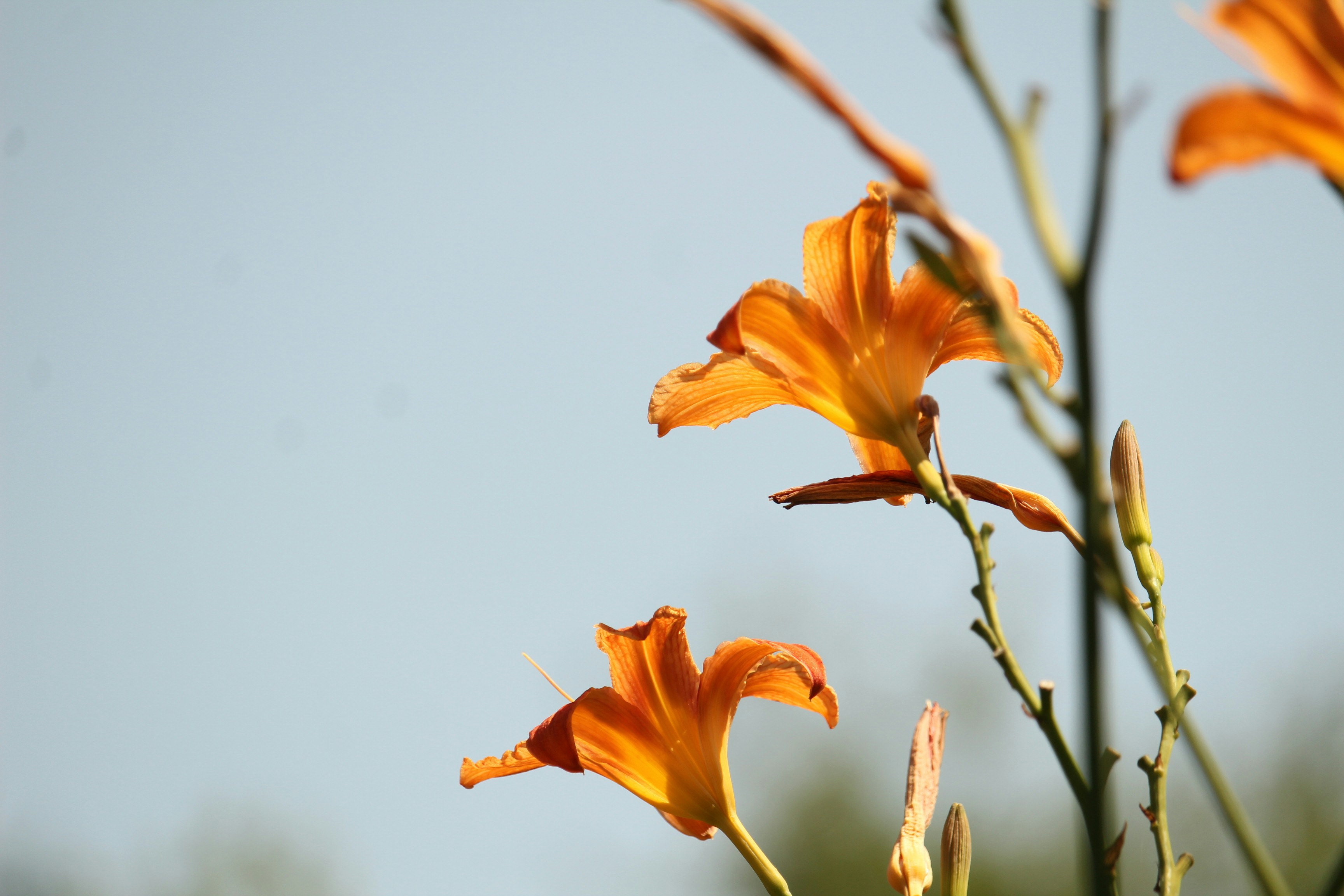 Photo by corinabianca