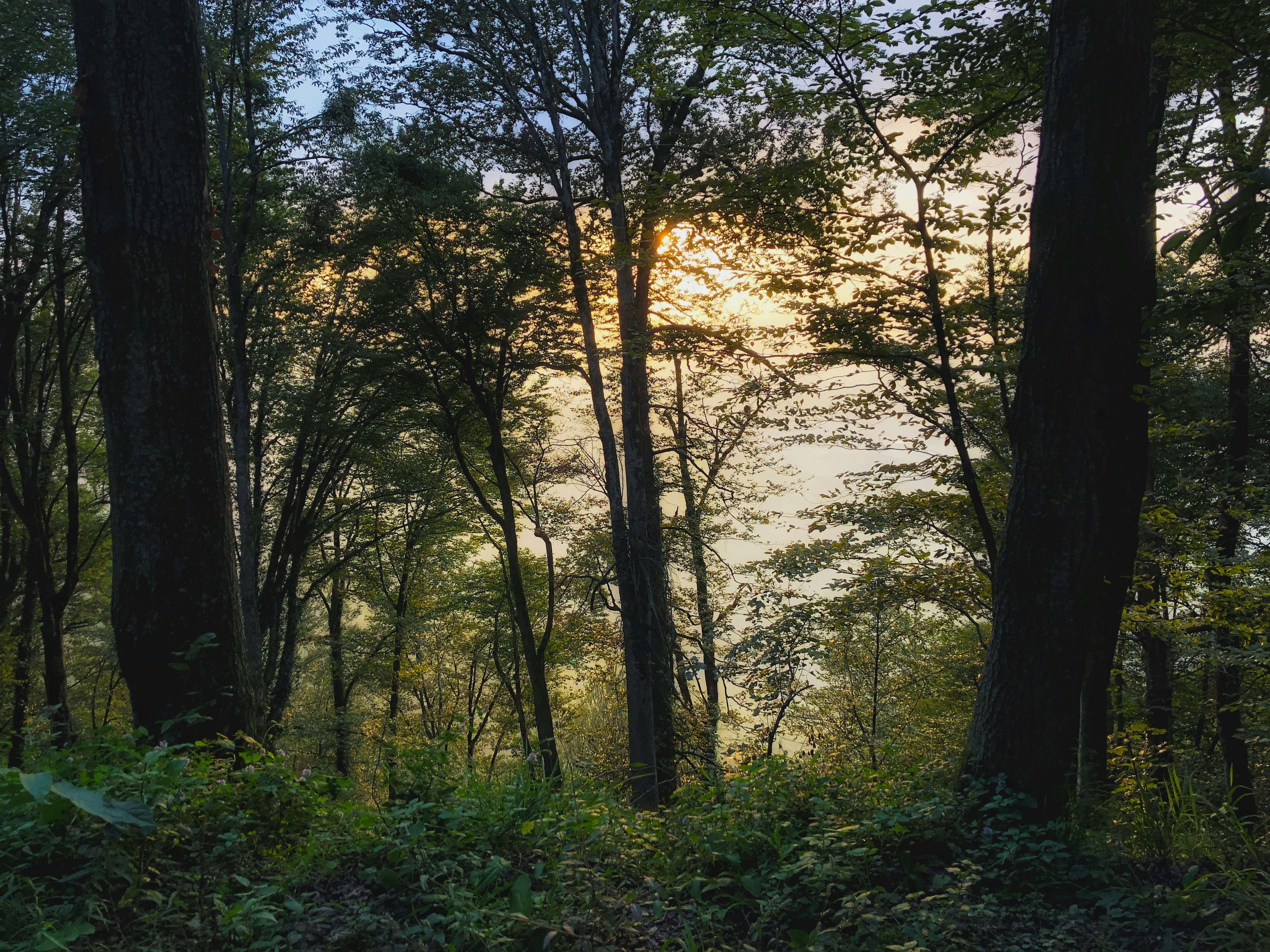 Photo by pouyanssight