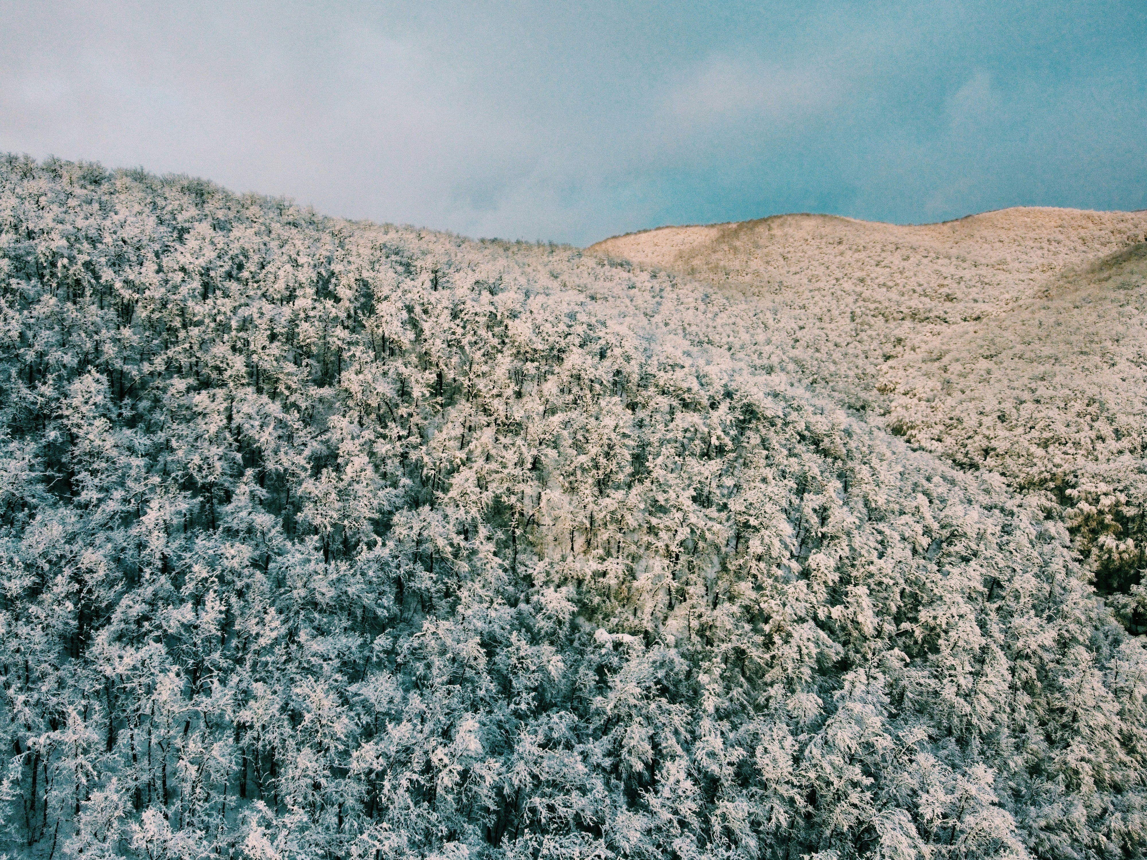 Photo by redonsalihi