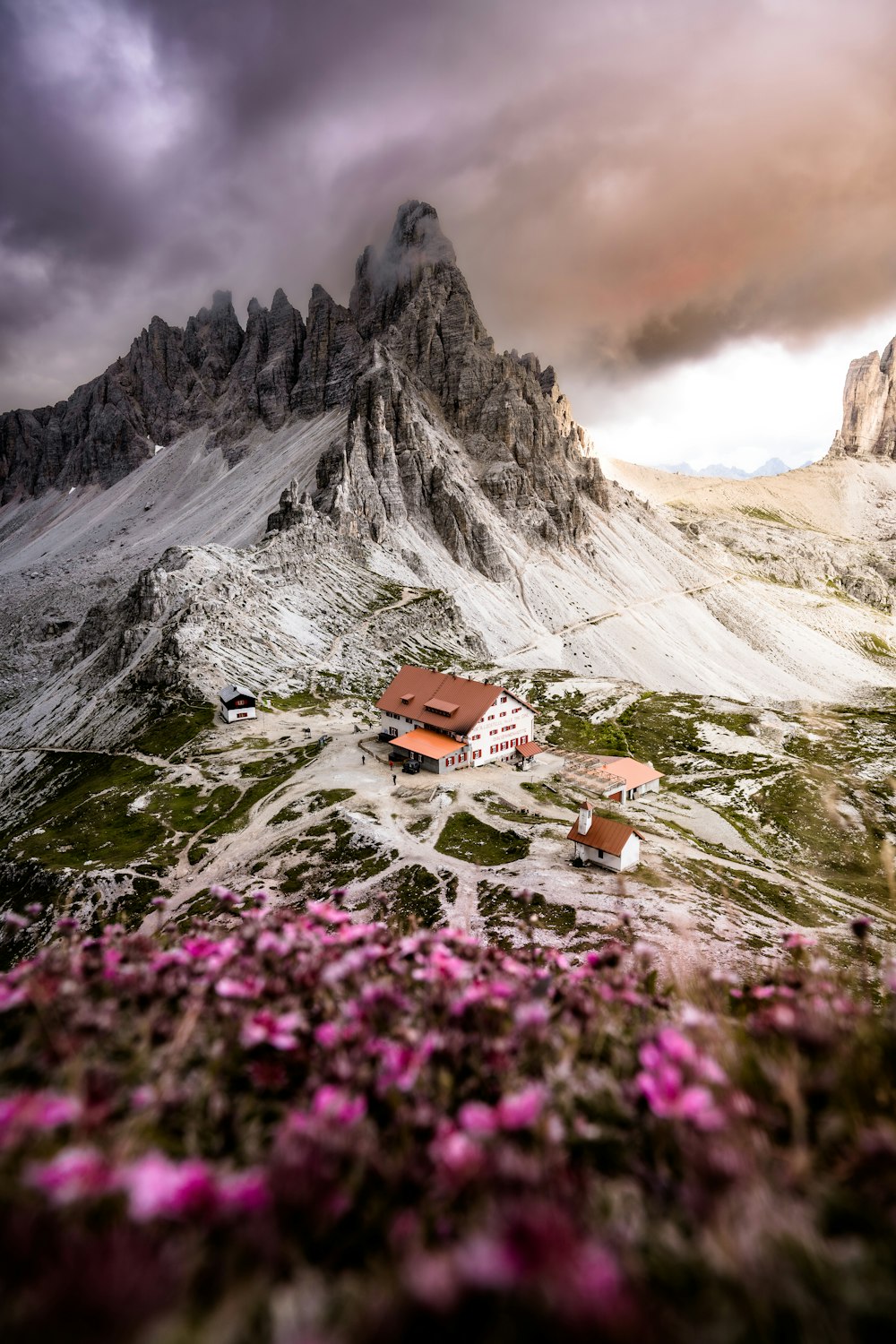 a house on a hill surrounded by flowers