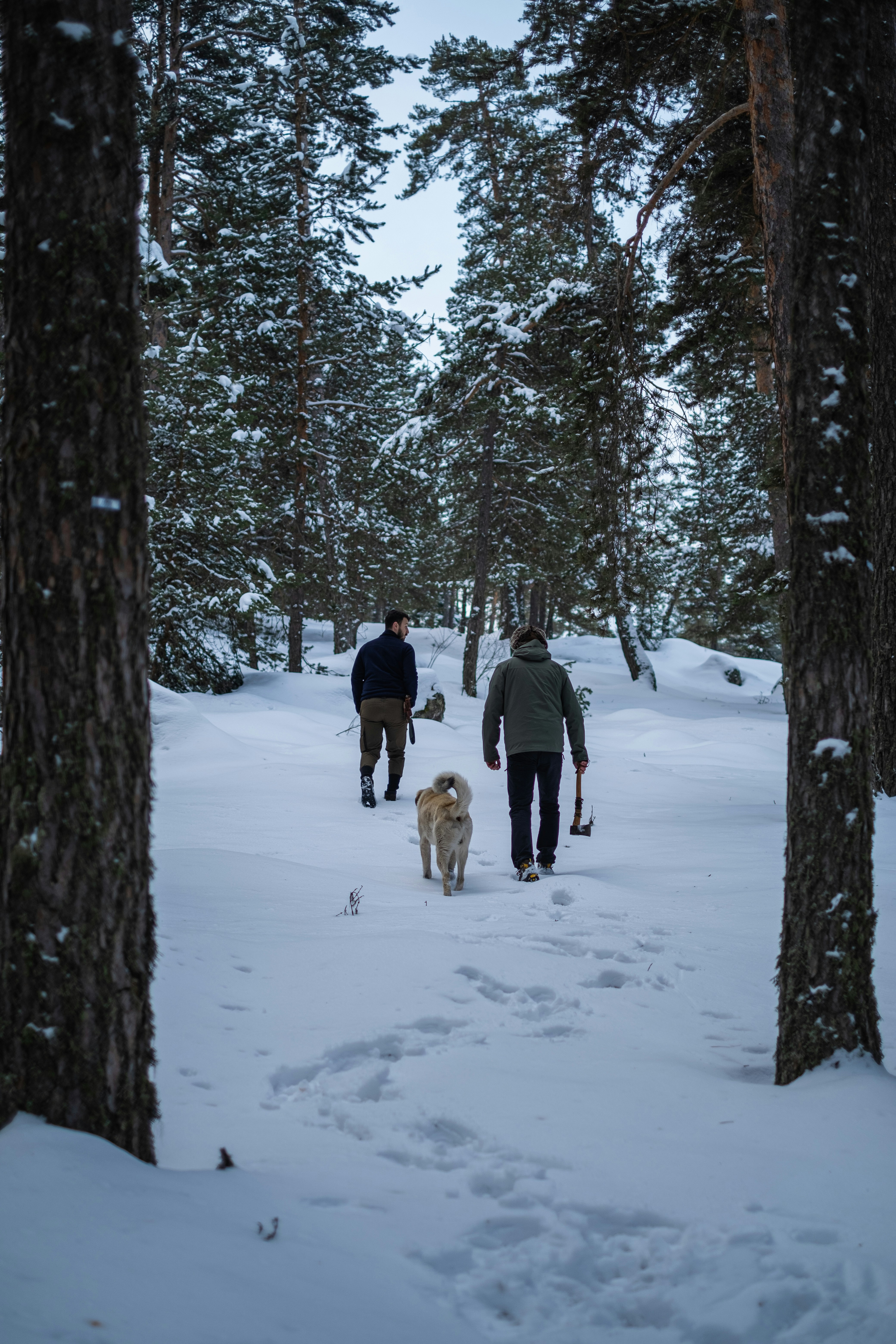 2 men hiking the forest