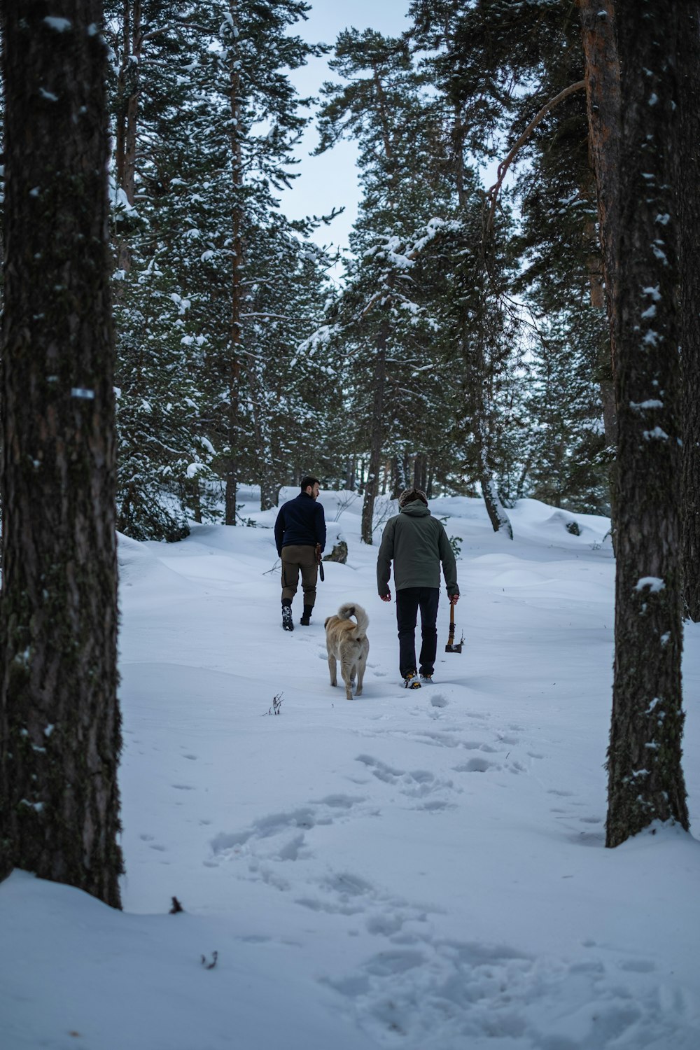 two people walking in the snow with a dog