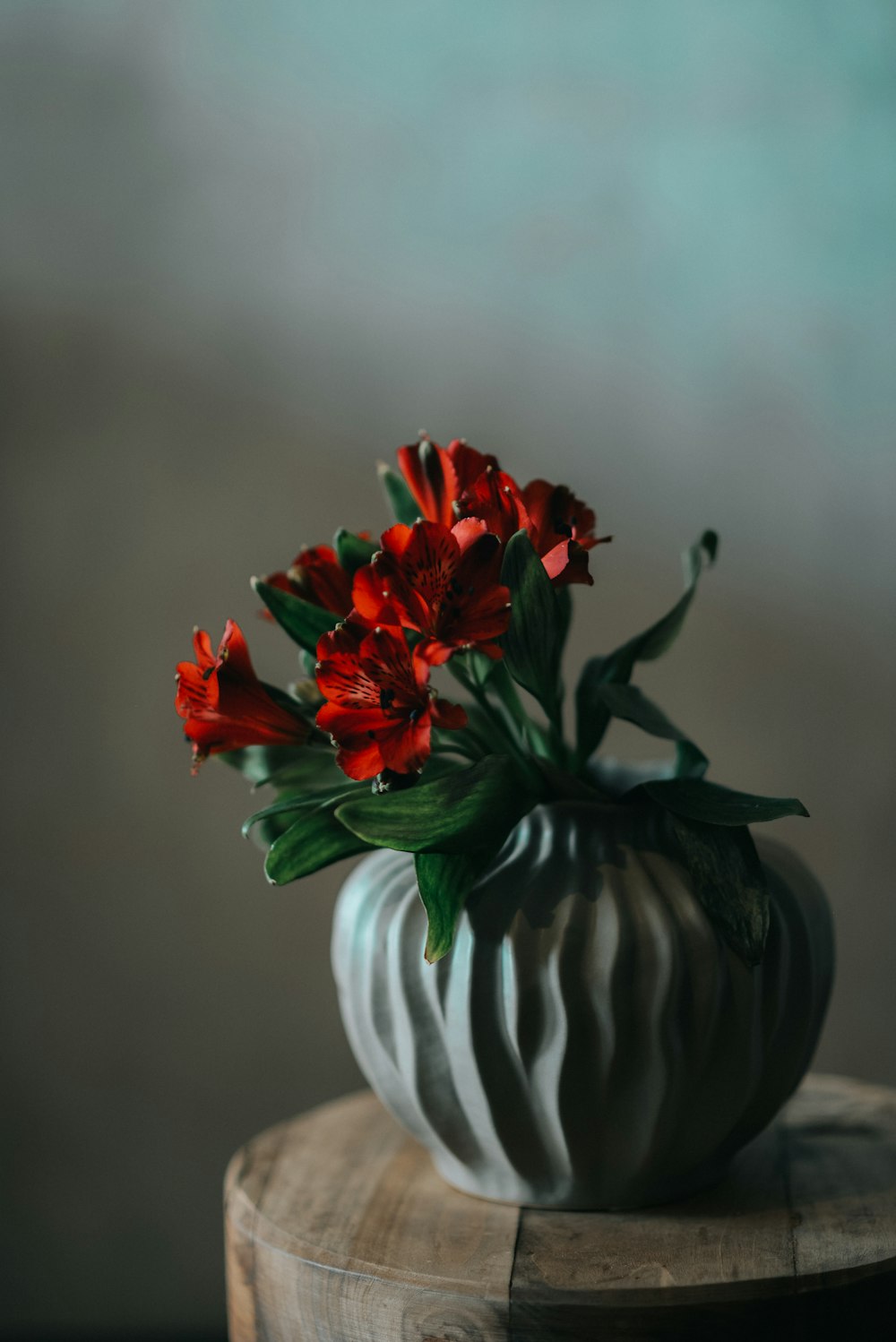 a white vase with some red flowers in it