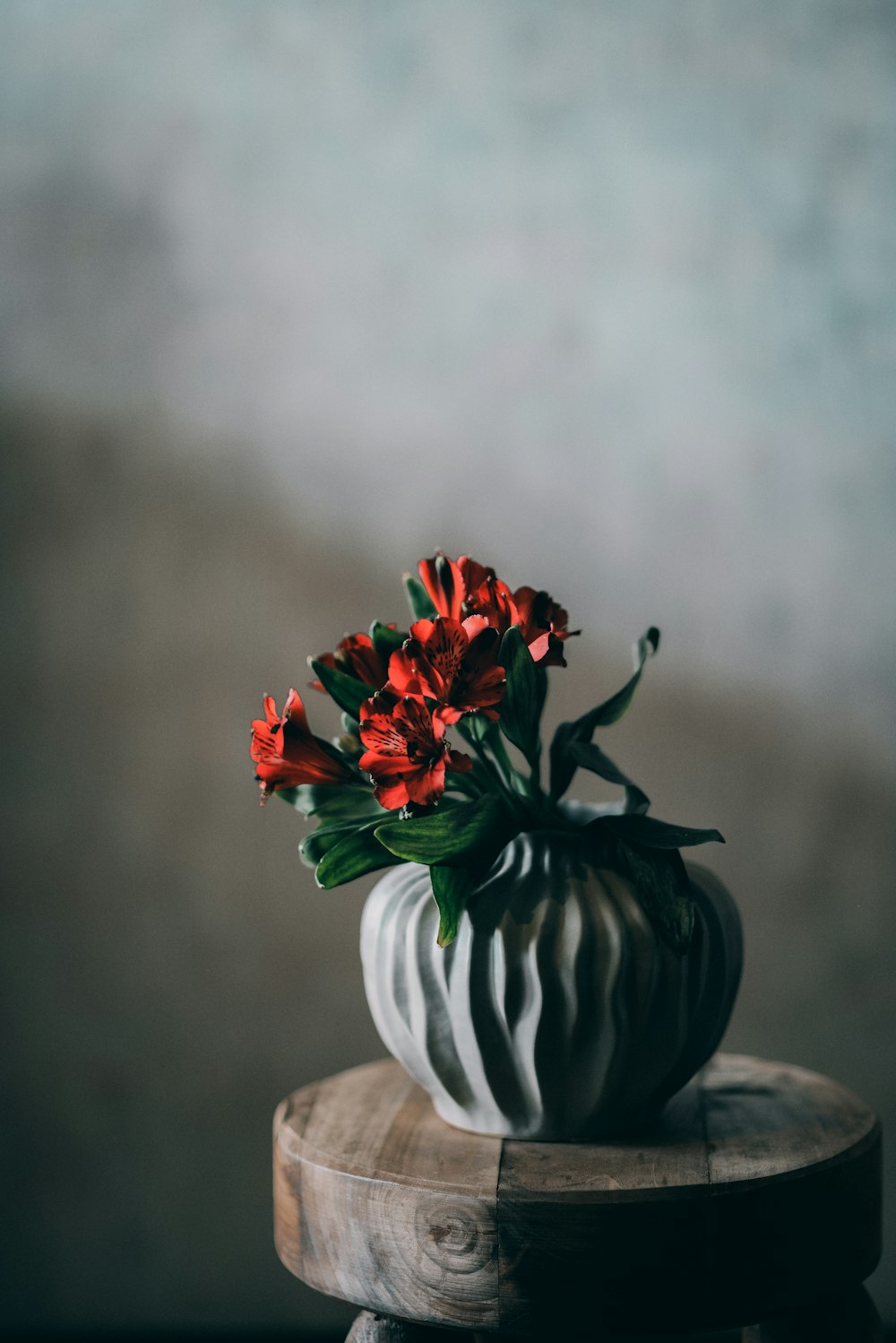 a white vase filled with red flowers on top of a wooden table