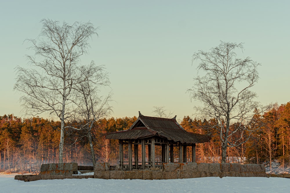 a gazebo in the middle of a snowy field