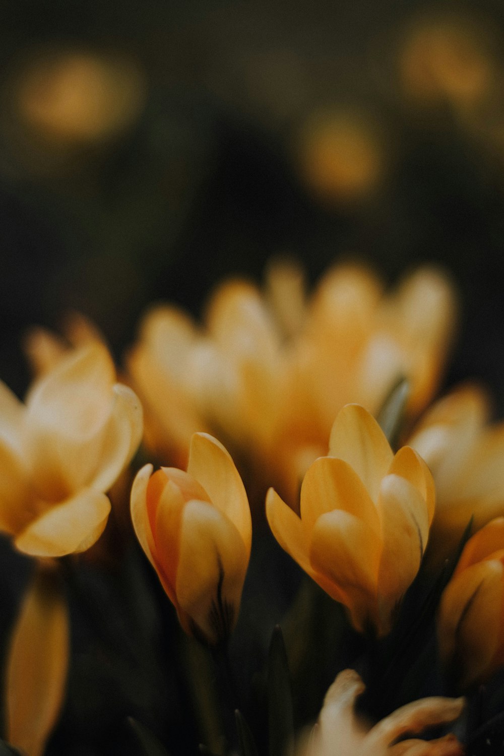 a bunch of yellow flowers that are in a vase