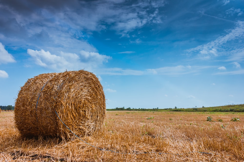 a bale of hay in a field under a blue sky