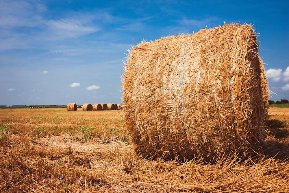 a large bale of hay in a field