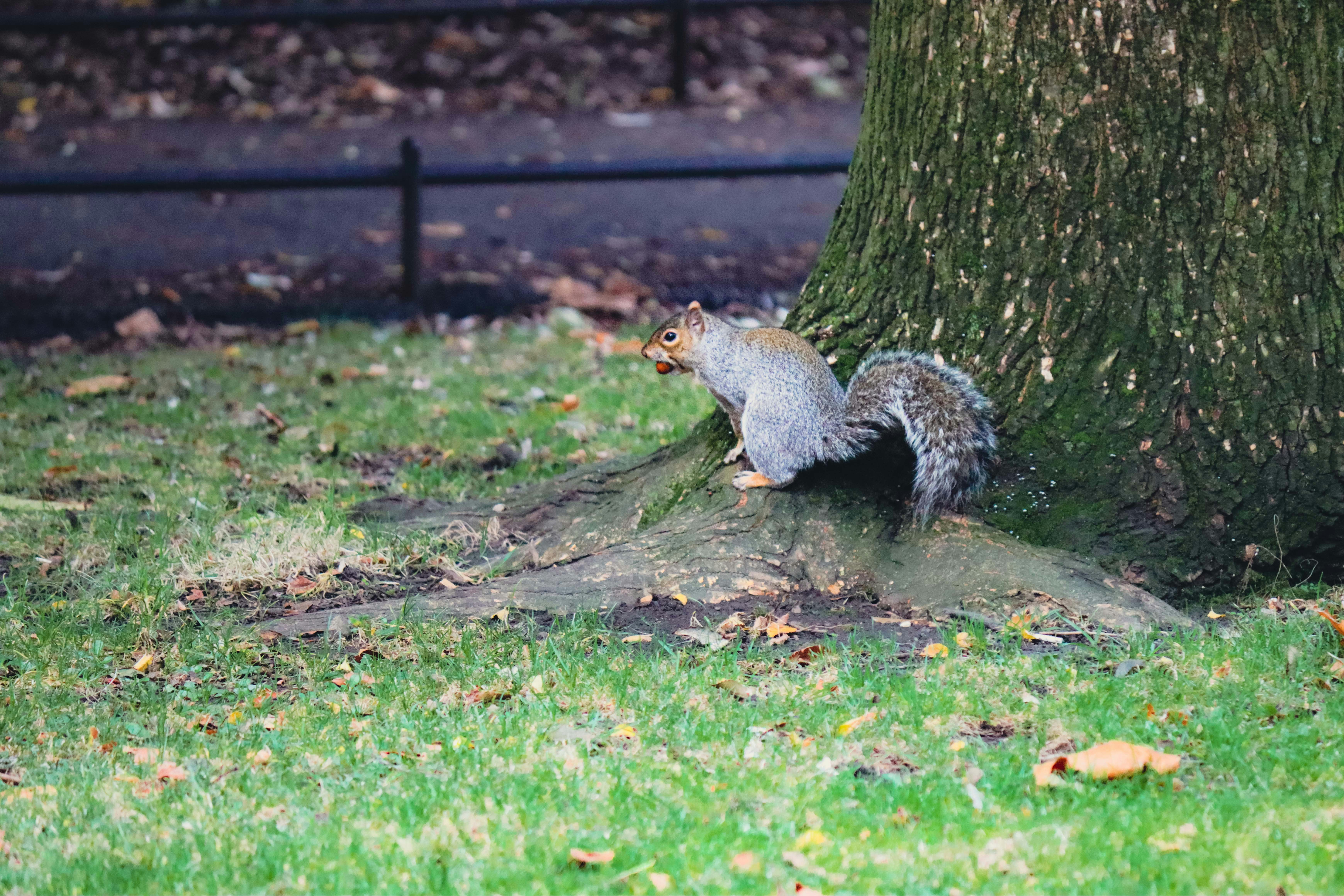 Photo by _chloe_photo