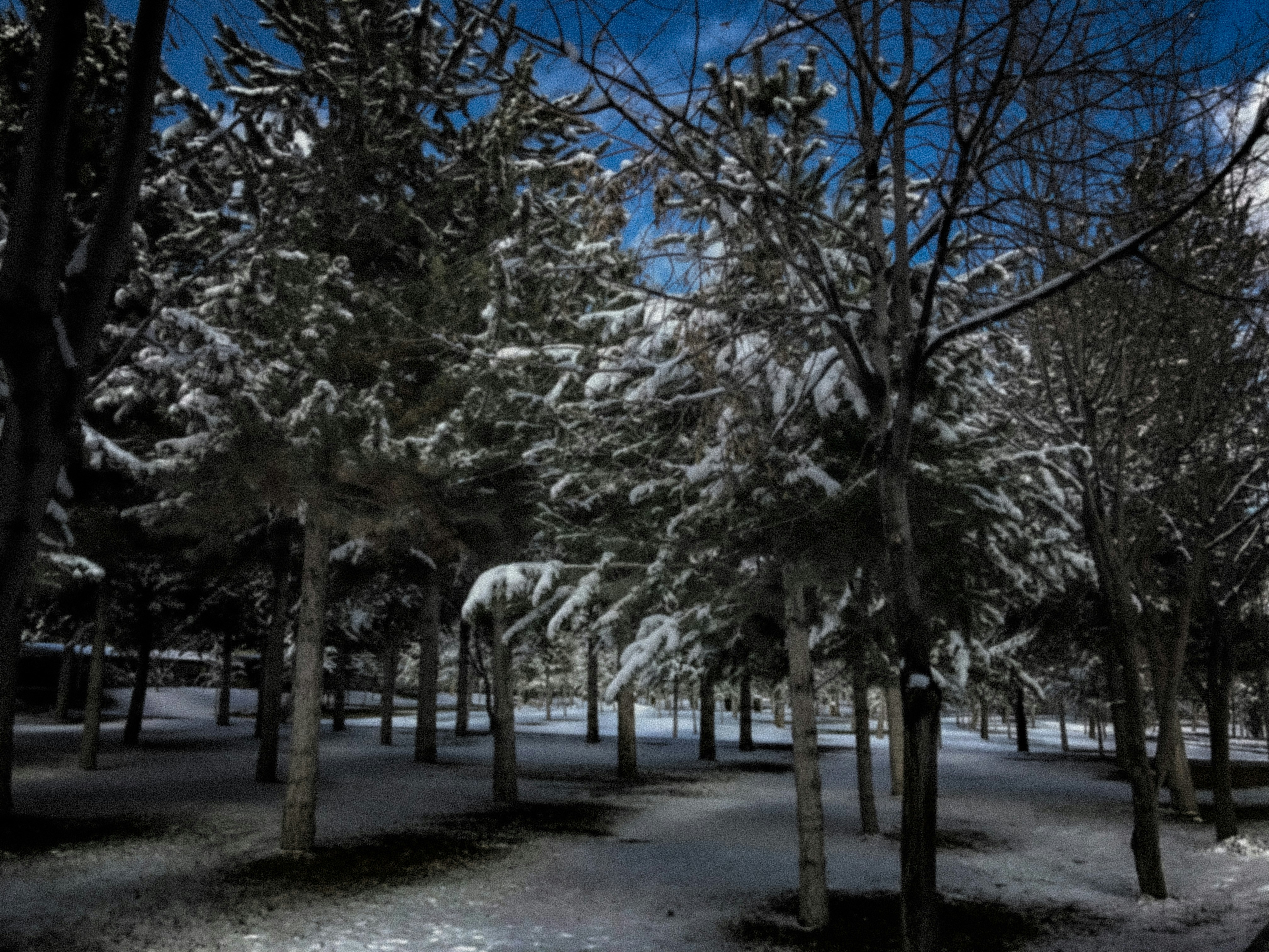 Photo by yavuzim