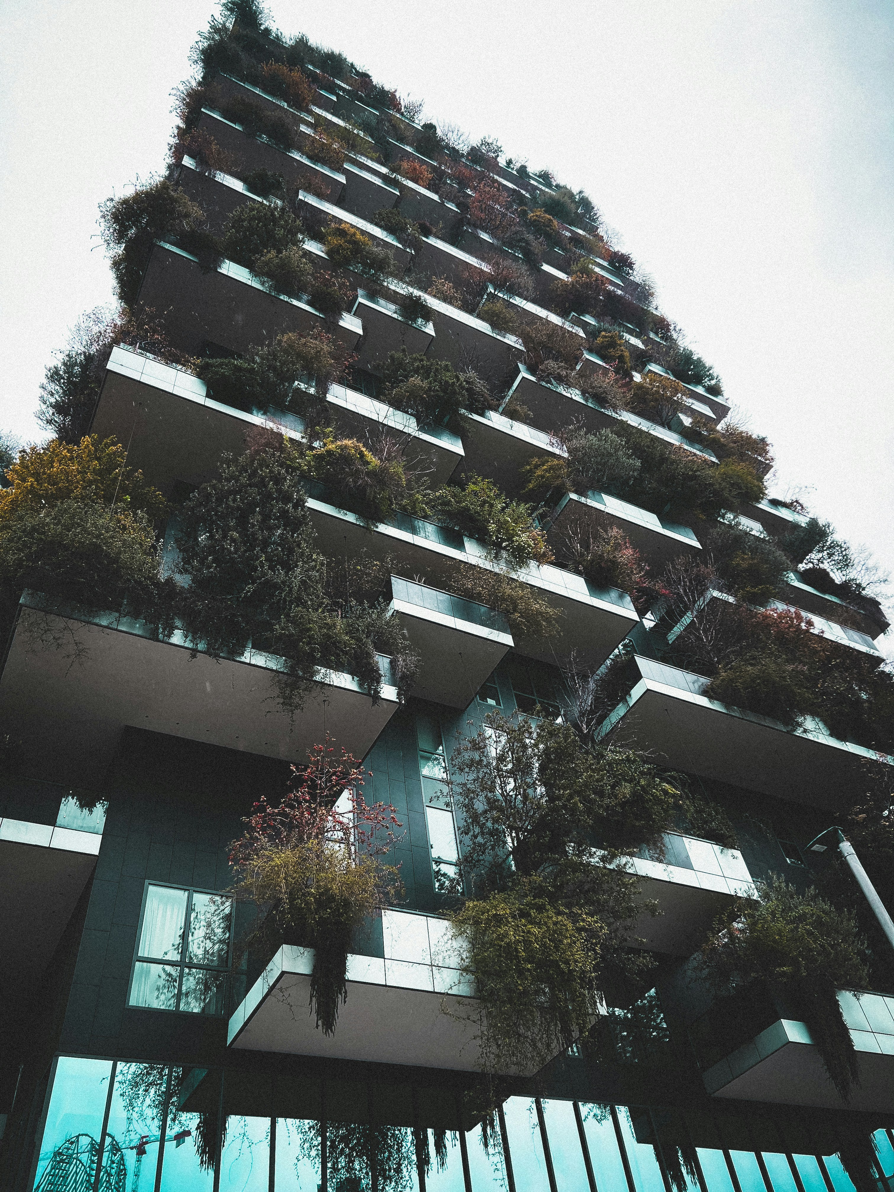 Photo by cropviewfinder