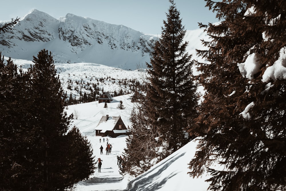 a group of people skiing down a snow covered slope