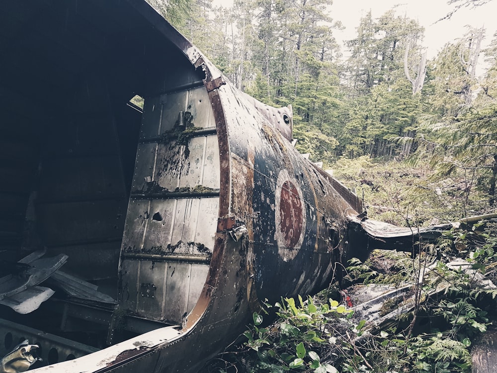 an old boat sitting in the middle of a forest