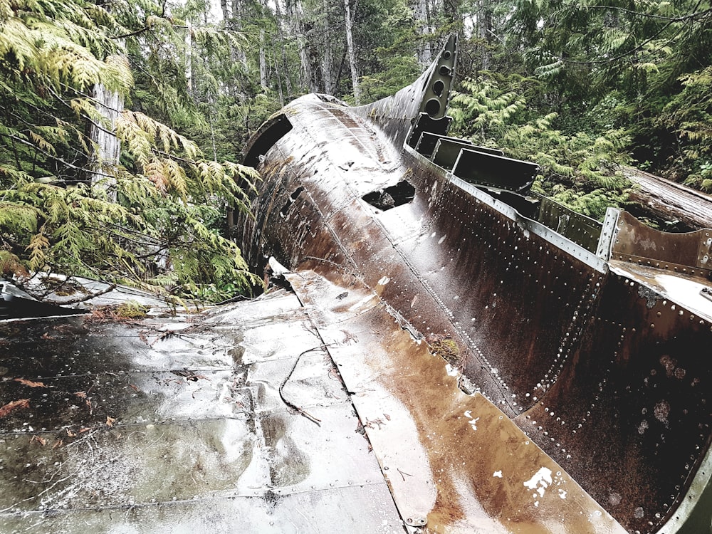 a large metal object in the middle of a forest