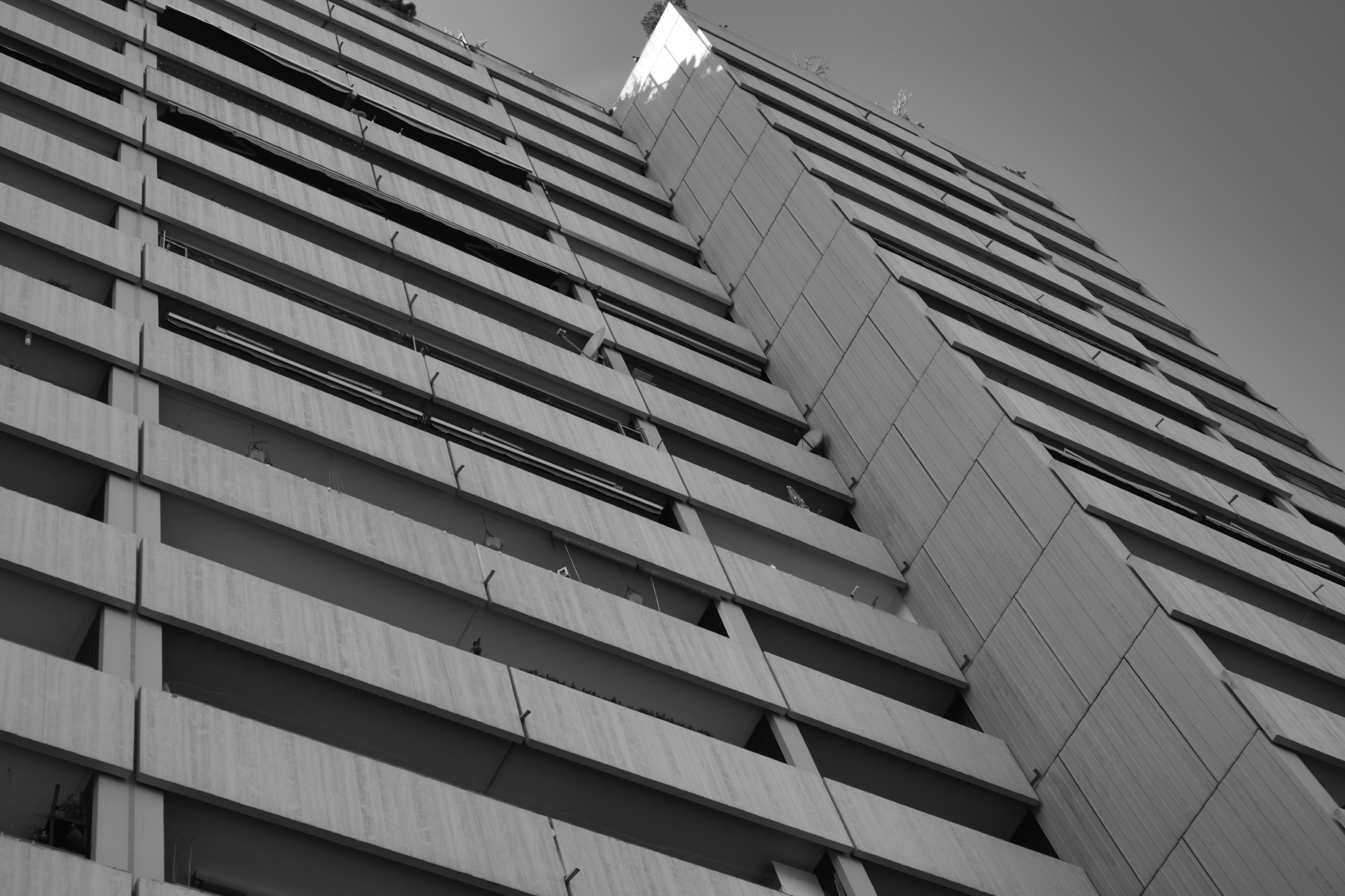 Photo by superflegmon