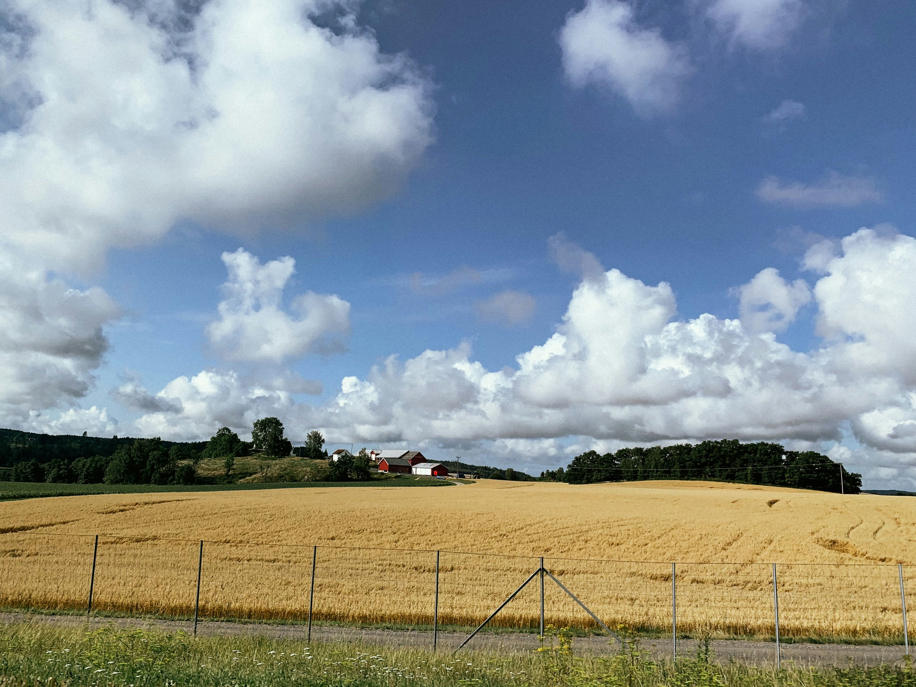 Sternschnuppe Bäsebeiz