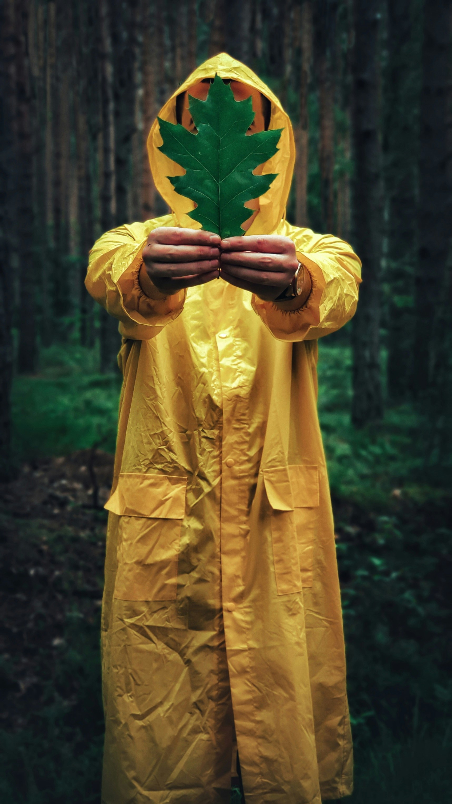 Photo by bogdan4ik_iv