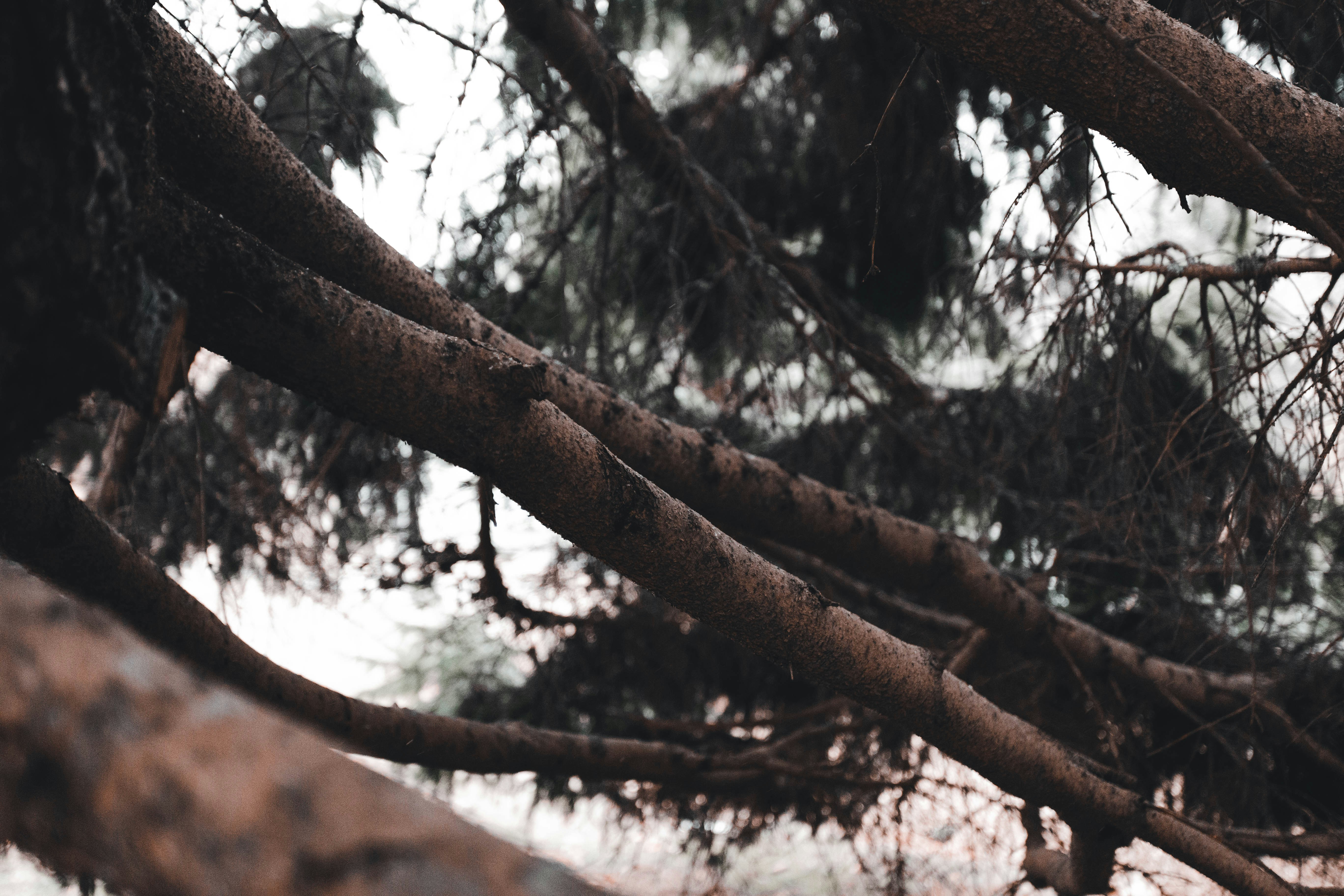 Photo by introspectivedsgn