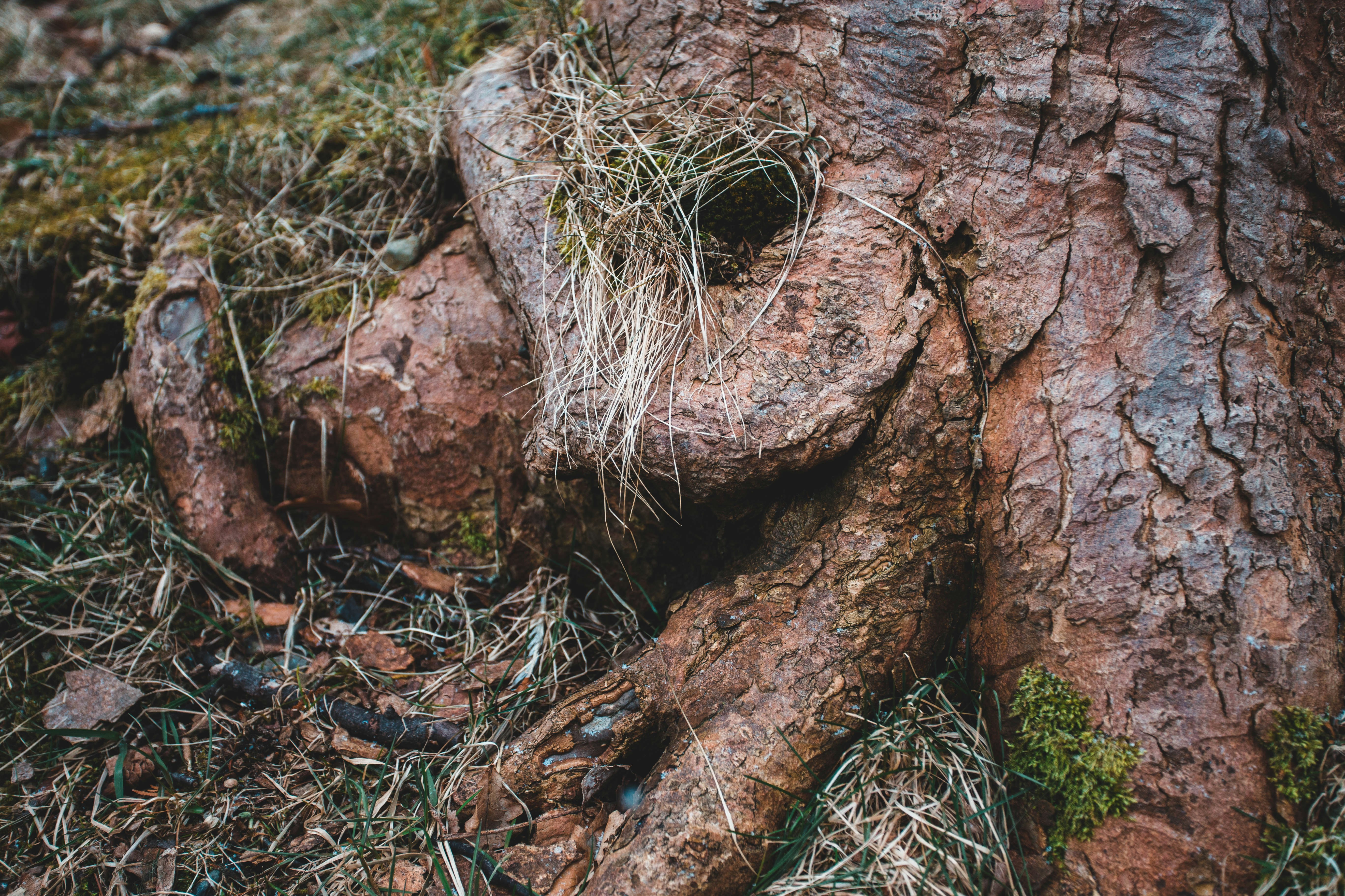 Photo by introspectivedsgn