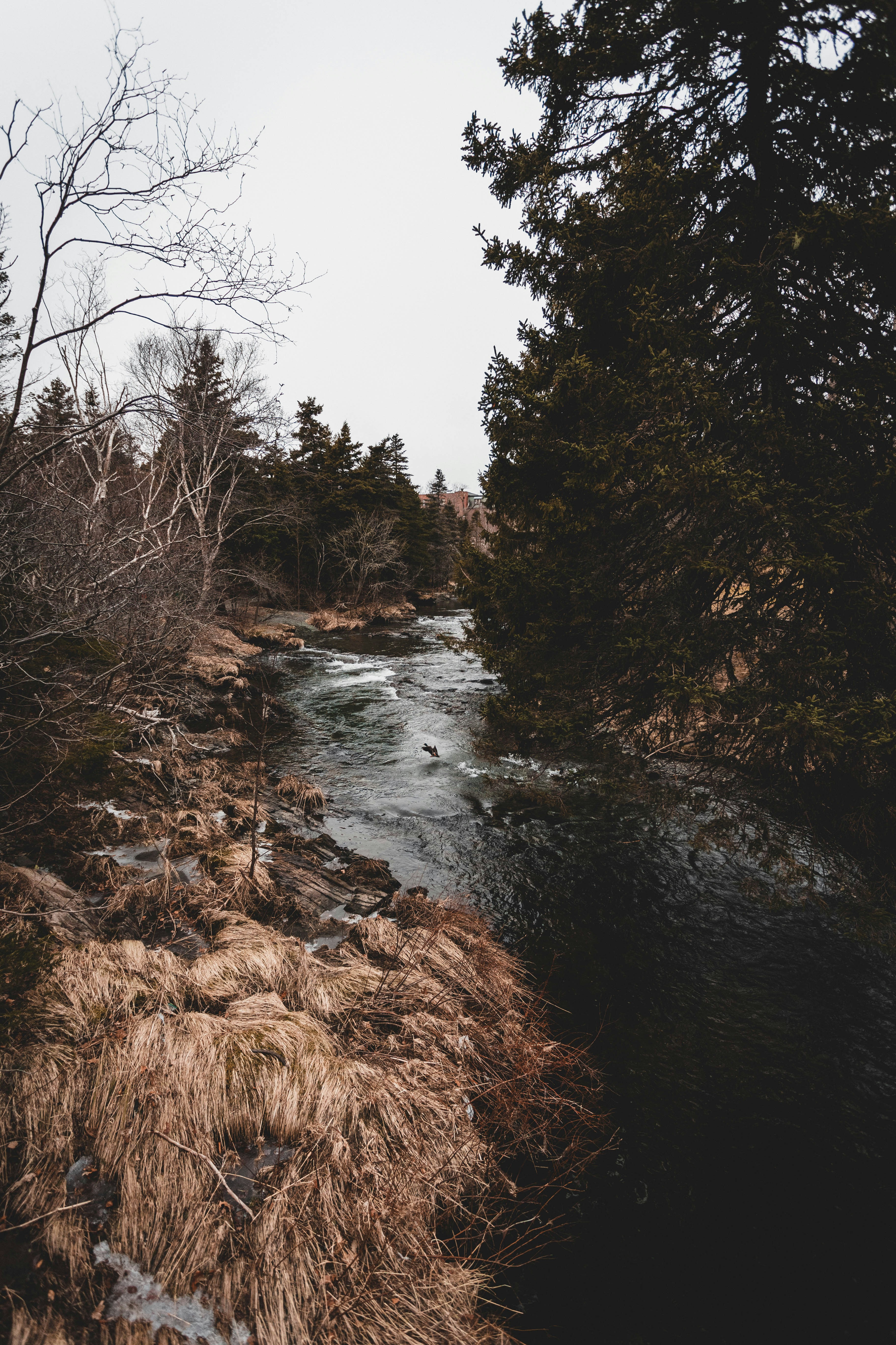 Photo by introspectivedsgn