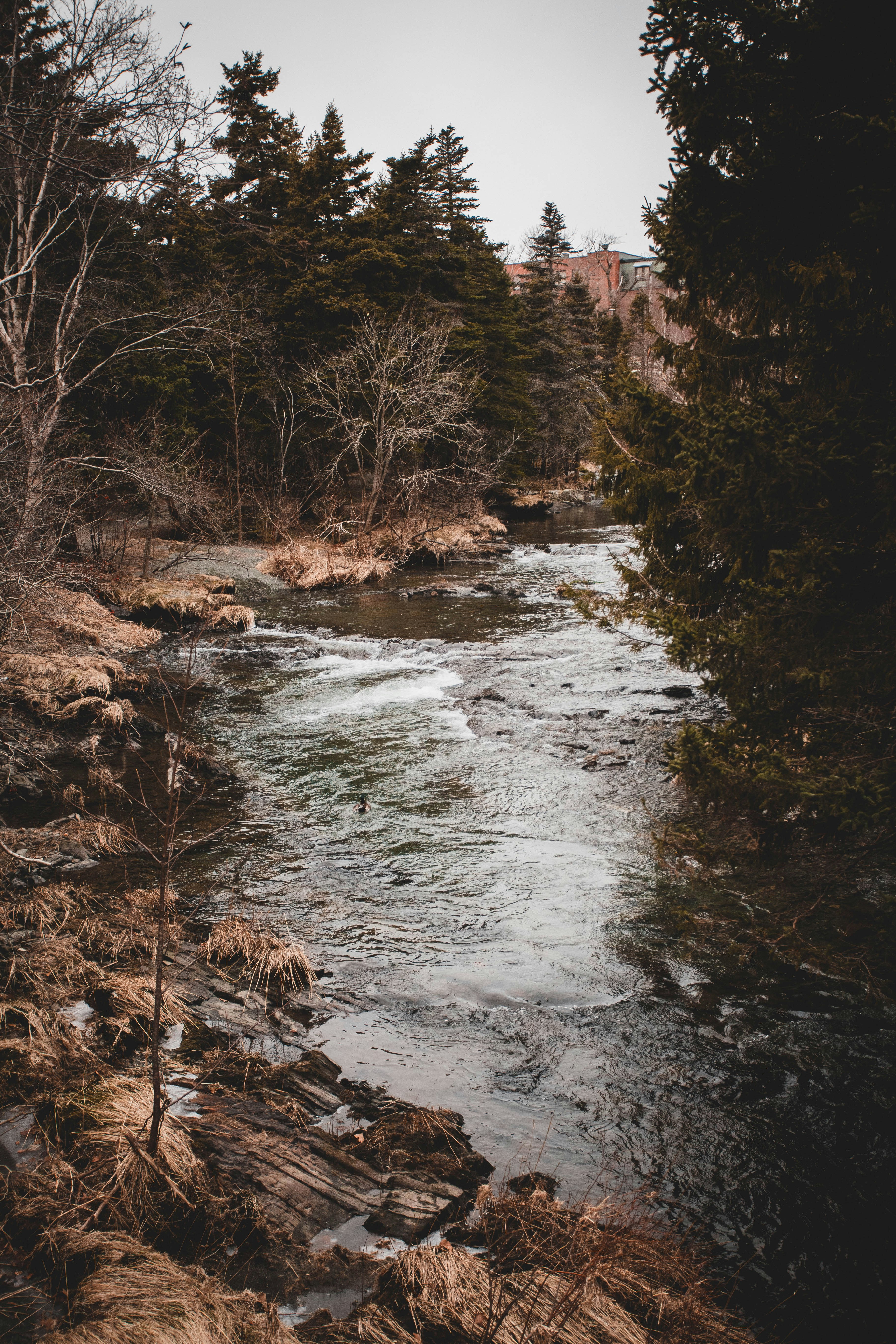 Photo by introspectivedsgn