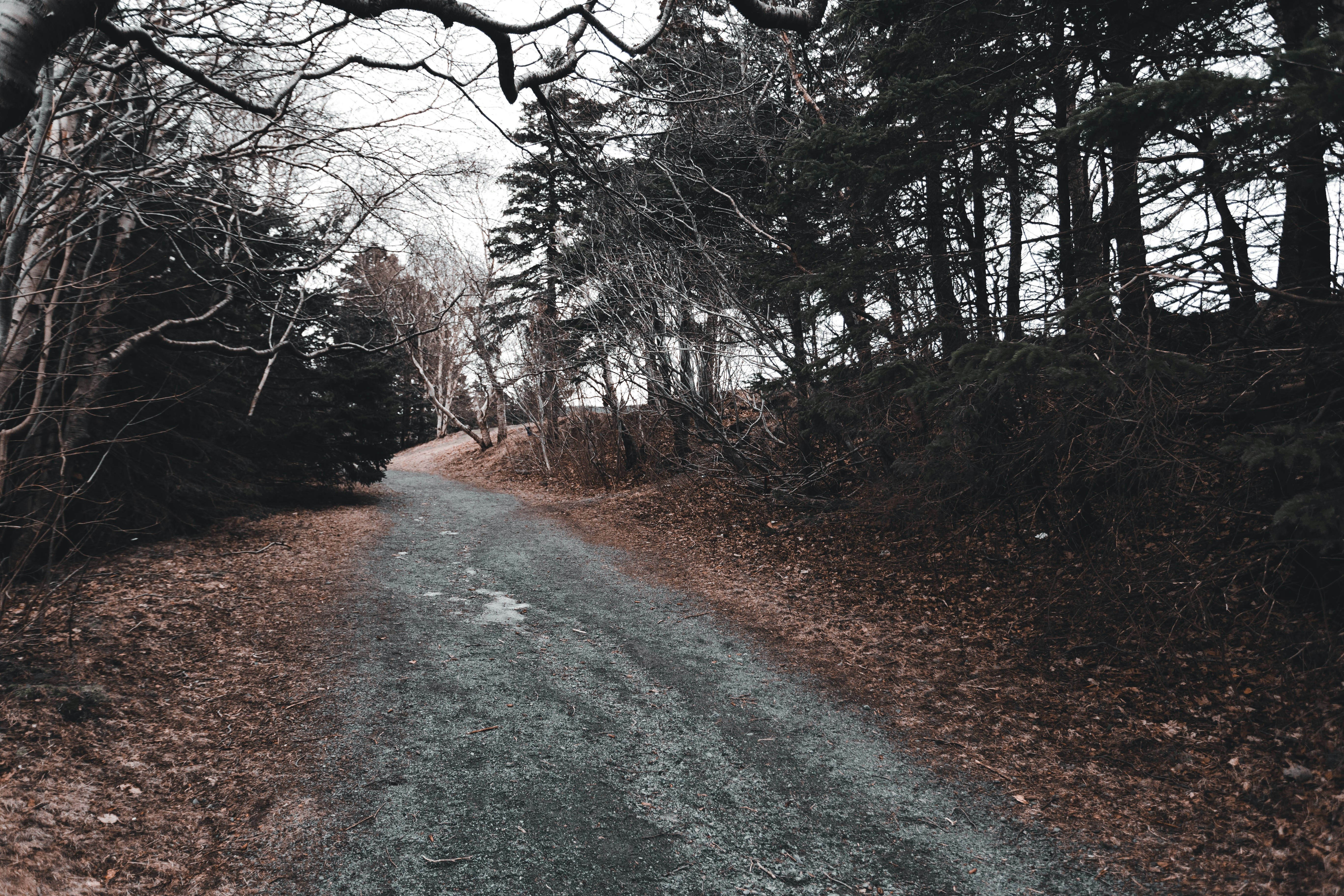 Photo by introspectivedsgn