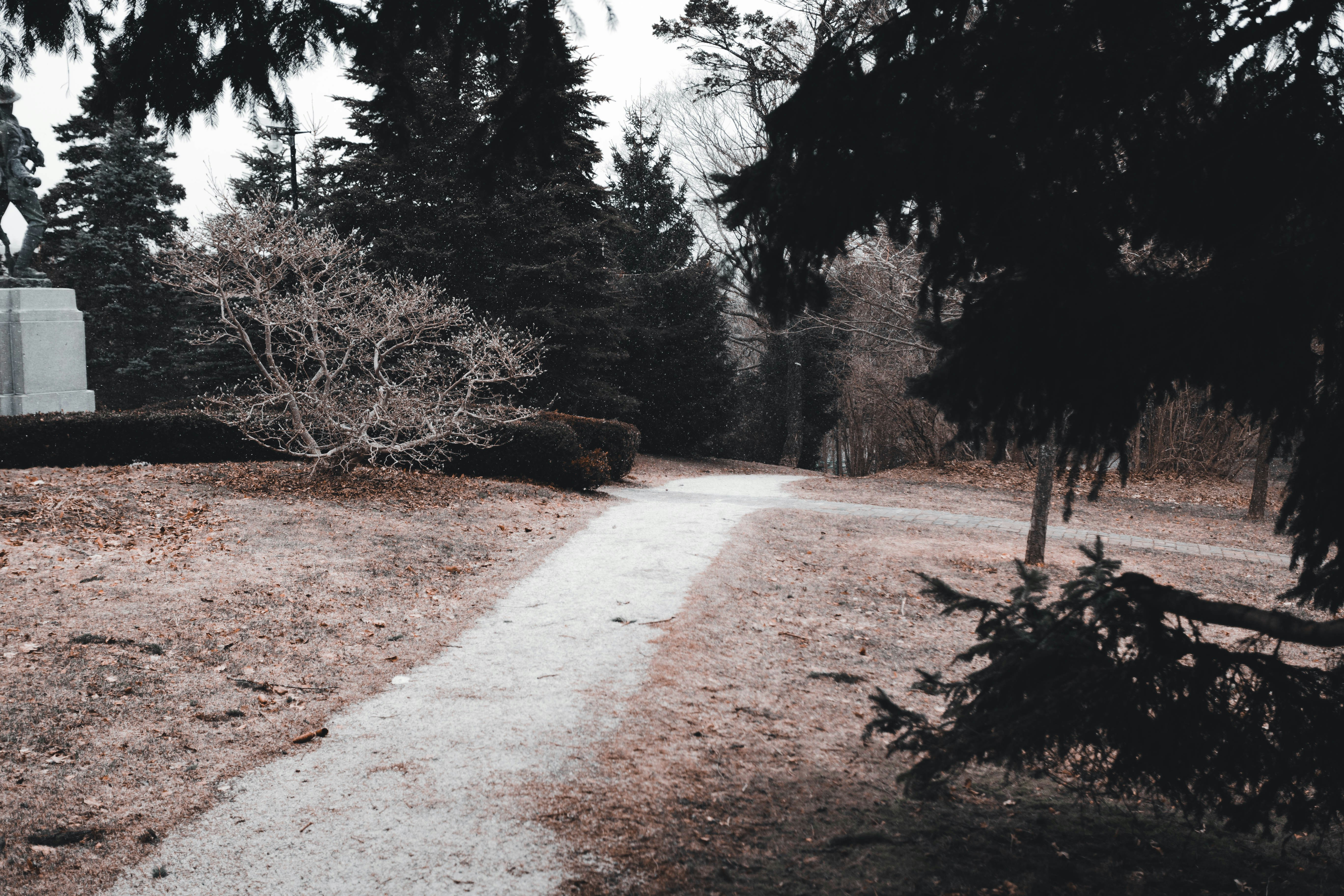 Photo by introspectivedsgn